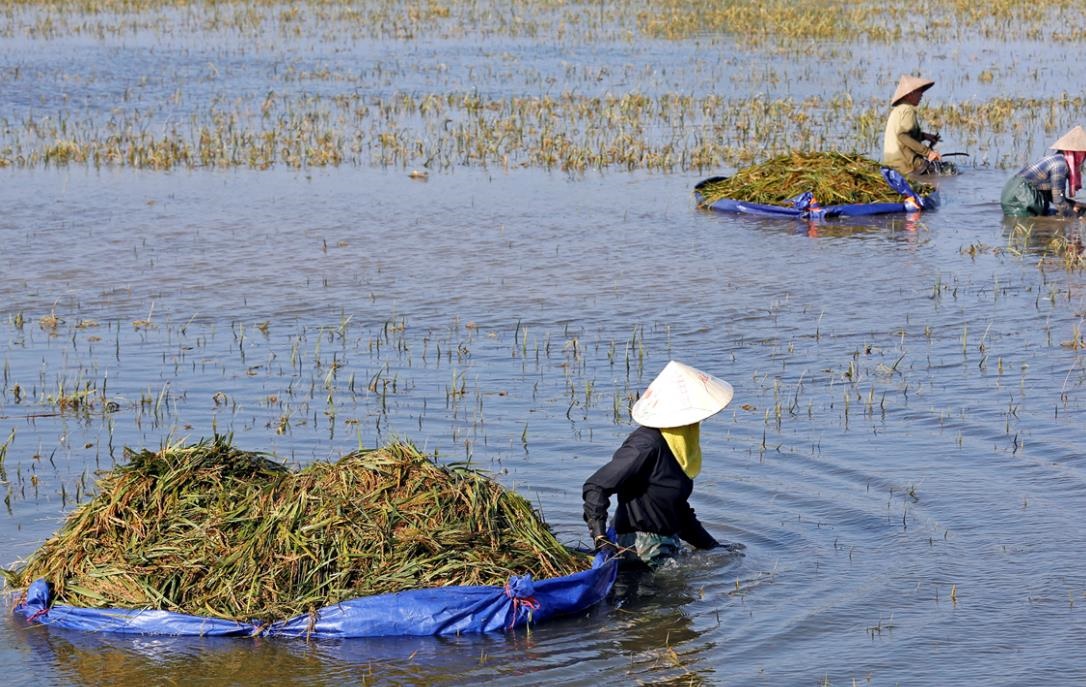 CGIAR 2° Initiative concludes Phase 1 of stakeholder consultations on securing Asian Mega-Deltas against climate change