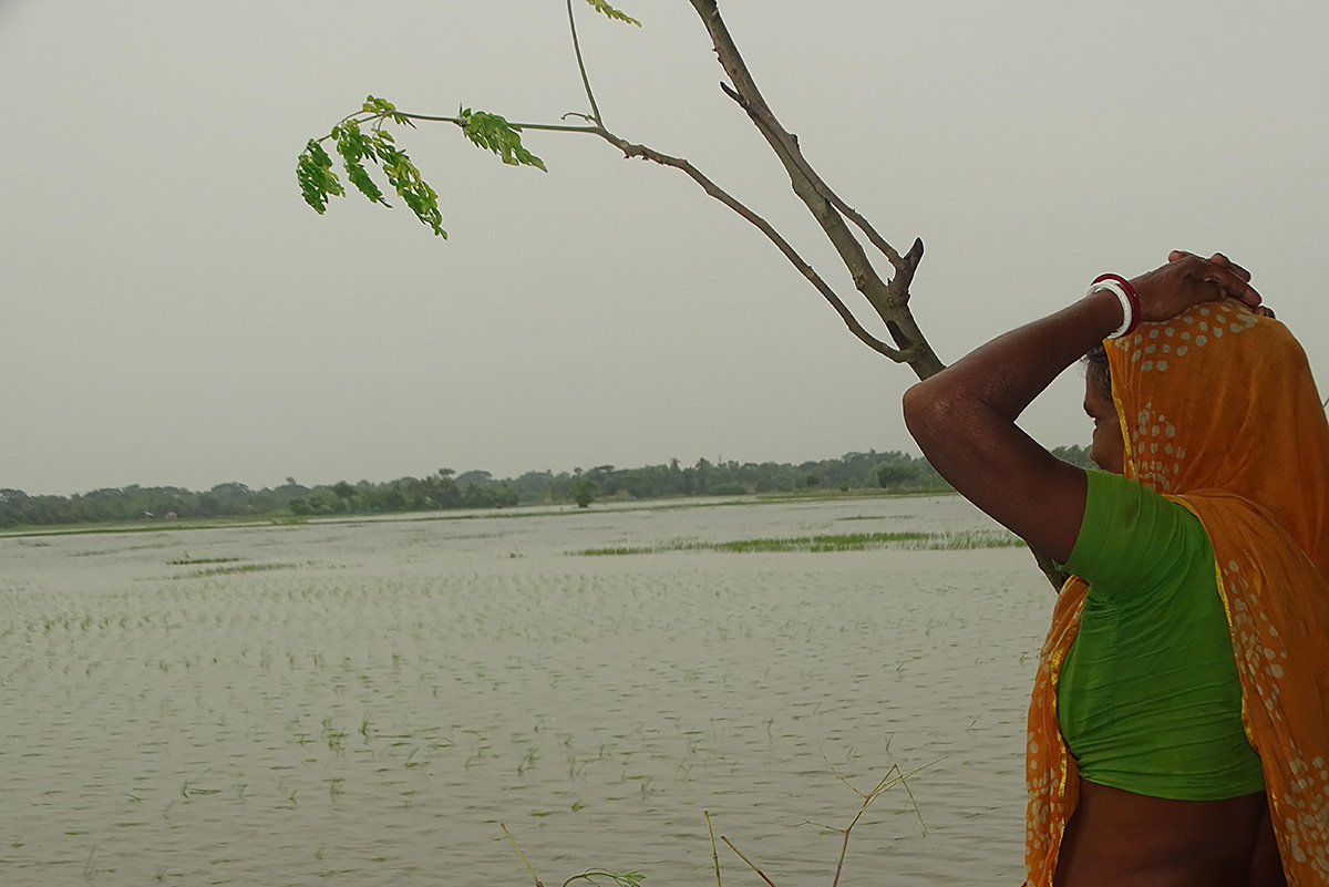 On climate change’s fury road: Equipping women to steer towards resilient agricultural sys...