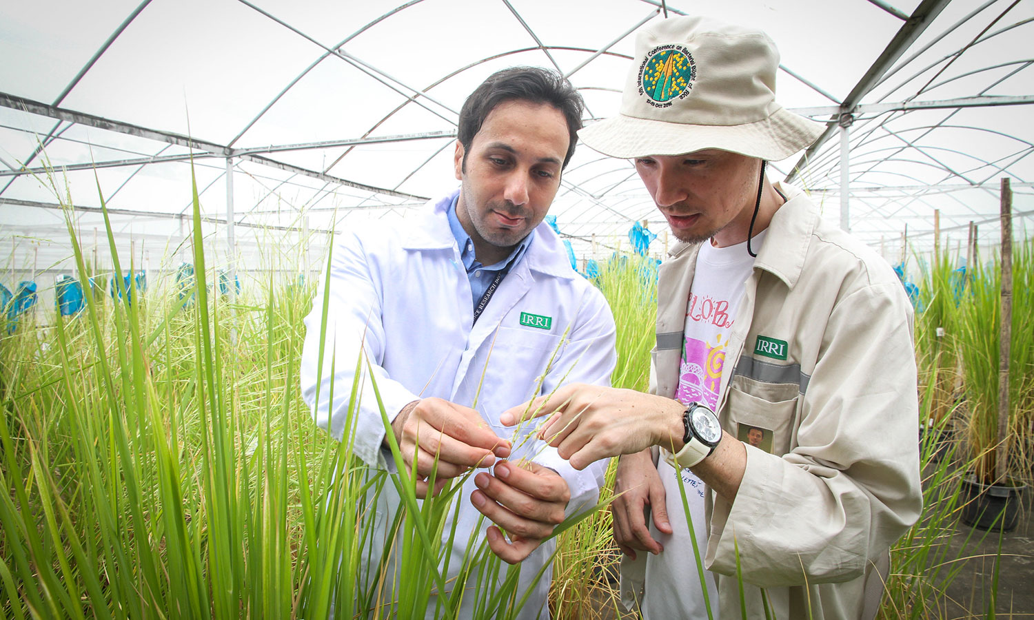 The line of defense against the transboundary spread of pests and diseases