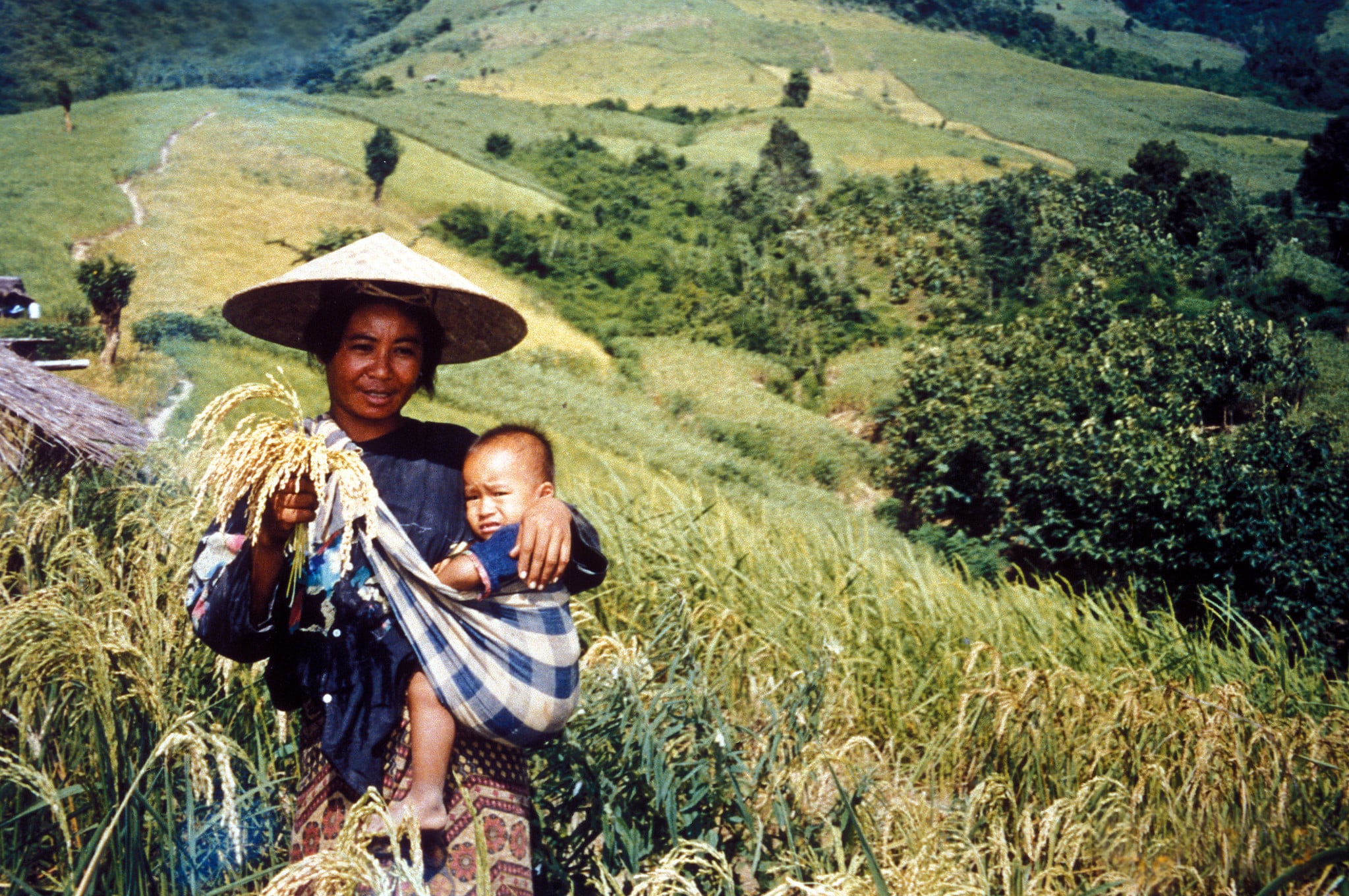 How heavy is the sky? Addressing the inequity and challenges of women in agri-food systems