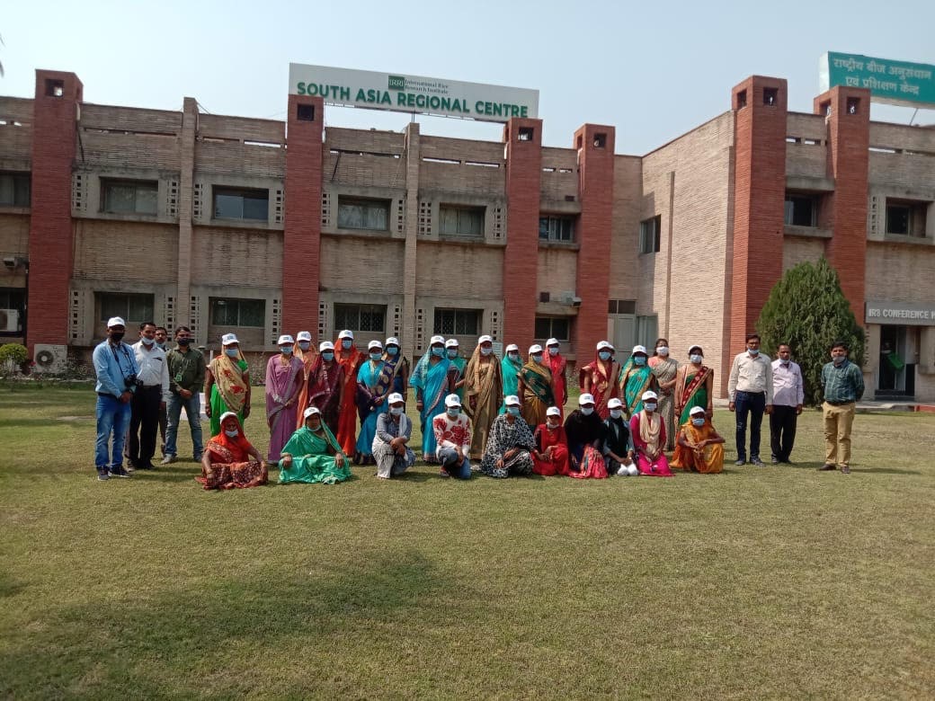IRRI SARC Celebrates International Women's Day 2021