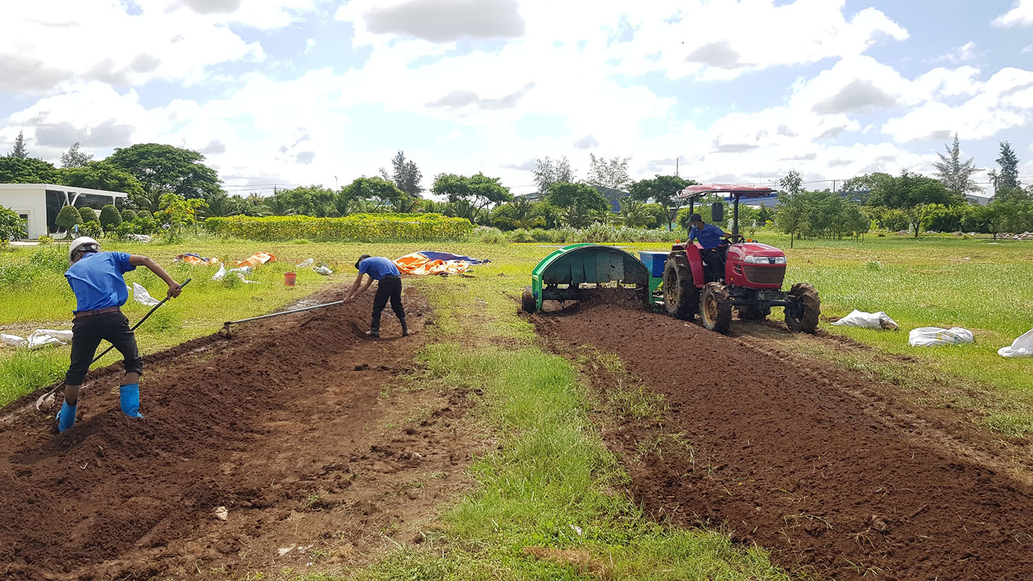 CORRA webinar shares opportunities in sustainable rice straw management
