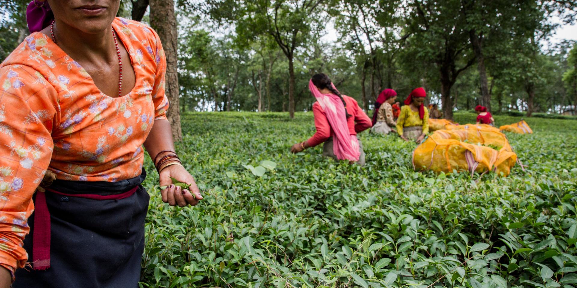 In South Asia, rethinking evidence generation and communication is key to sustainable, gen...