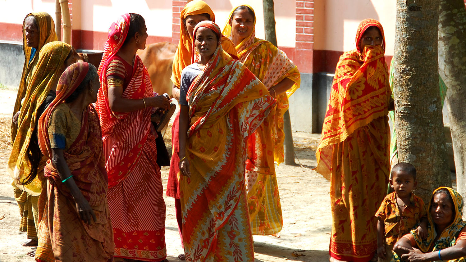 Accelerating financial inclusion of women in agri-food systems: What works?