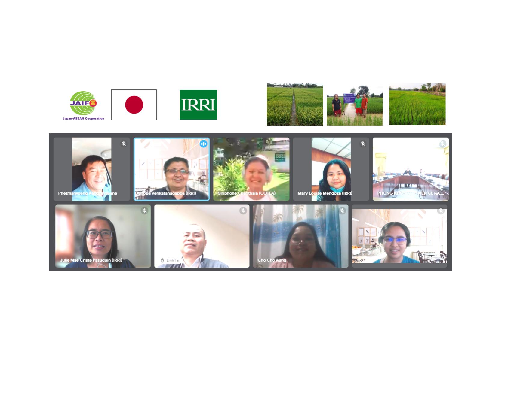 JAIF and IRRI collaborate on capacity building for ASEAN Rice Net in 4 SEA countries