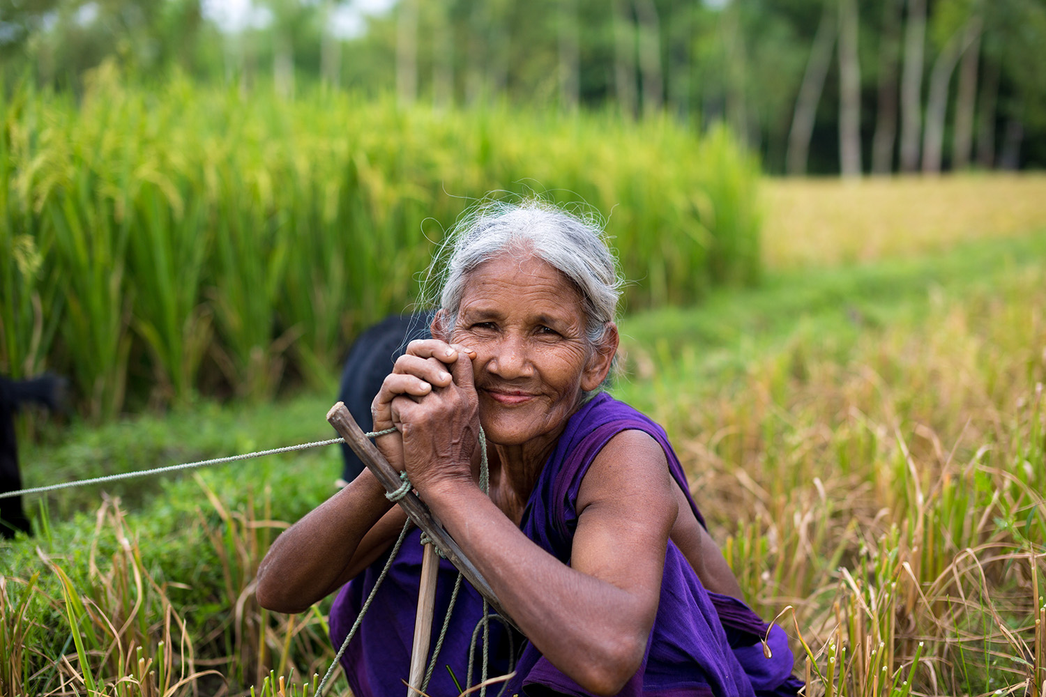 Tackling Climate Change in Agriculture: A Critical need for Gender-Transformative Approach...