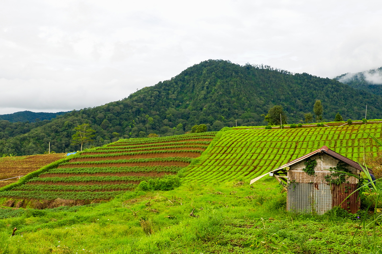 CGIAR and ASEAN held national consultations to define what is next for food systems in the...