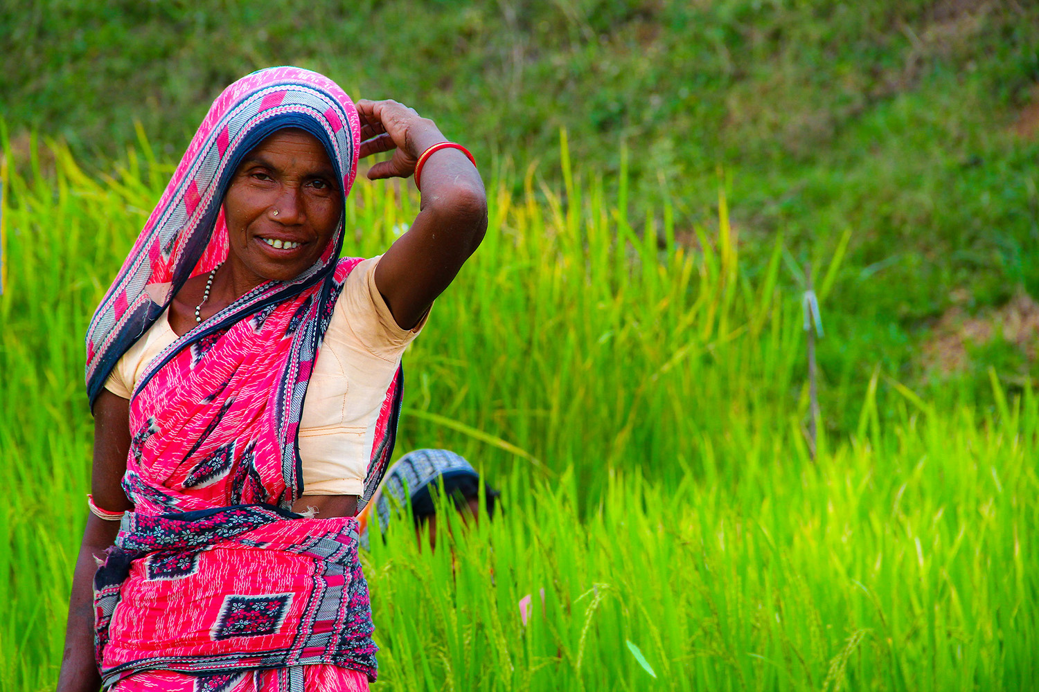 IRRI and Bayer collaborate to provide tailored agronomic information to farmers