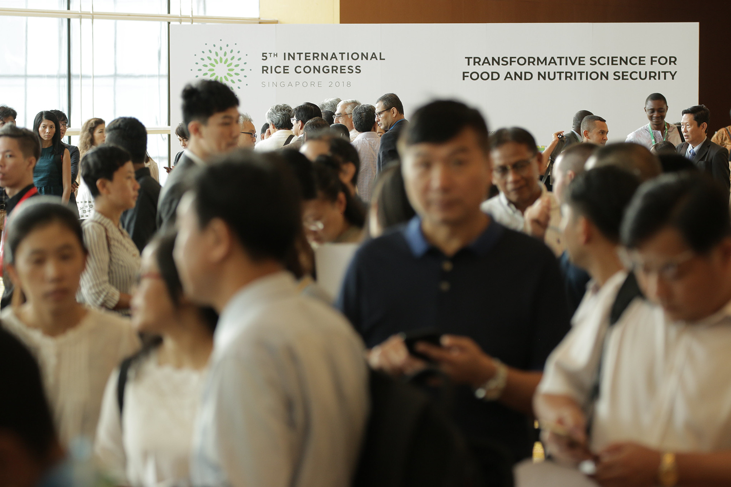 Request for Proposals to serve as event organizer for the  International Rice Congress 202...