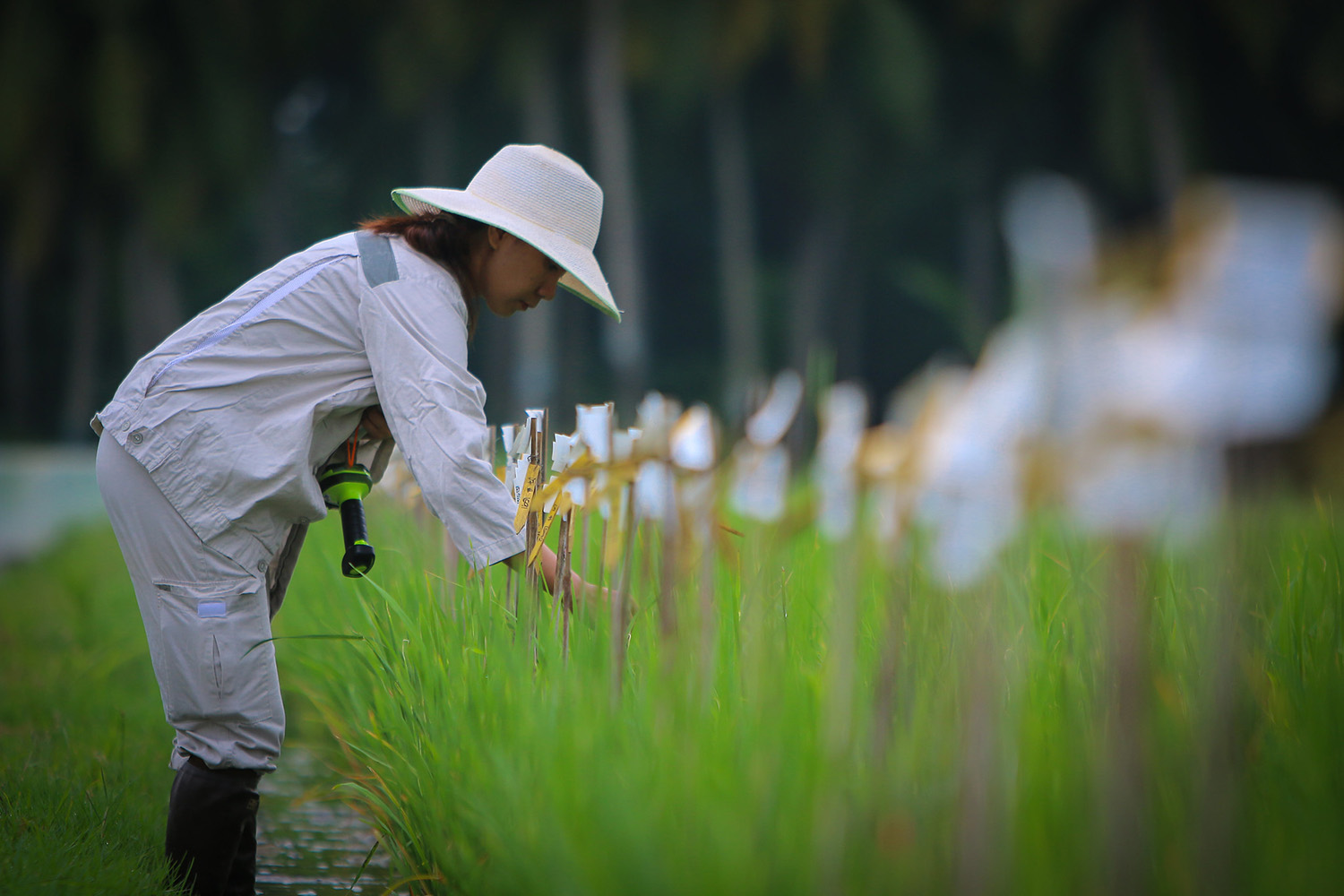 More sustainable solutions through global efforts on food security