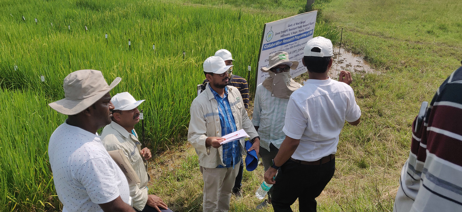 One Rice Breeding Network and Crop Tour 2022 in India create a unified understanding, communication, and learning for researchers