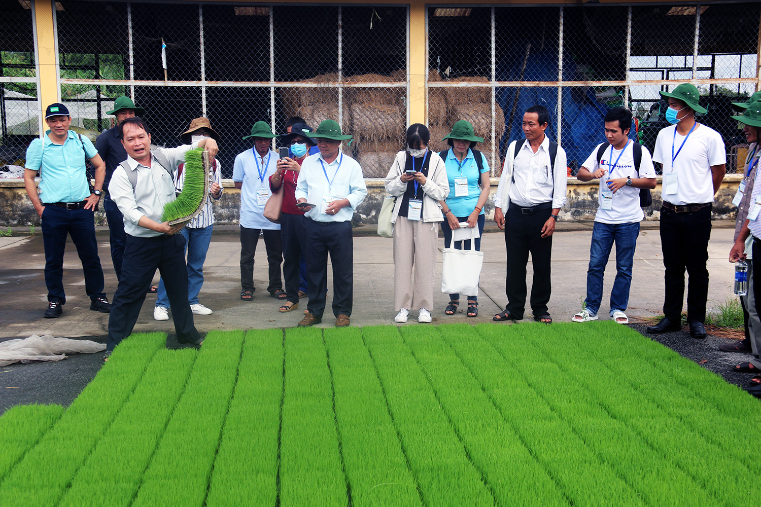Seed Equal launches in Mekong Delta with climate-resilient rice seed production workshop