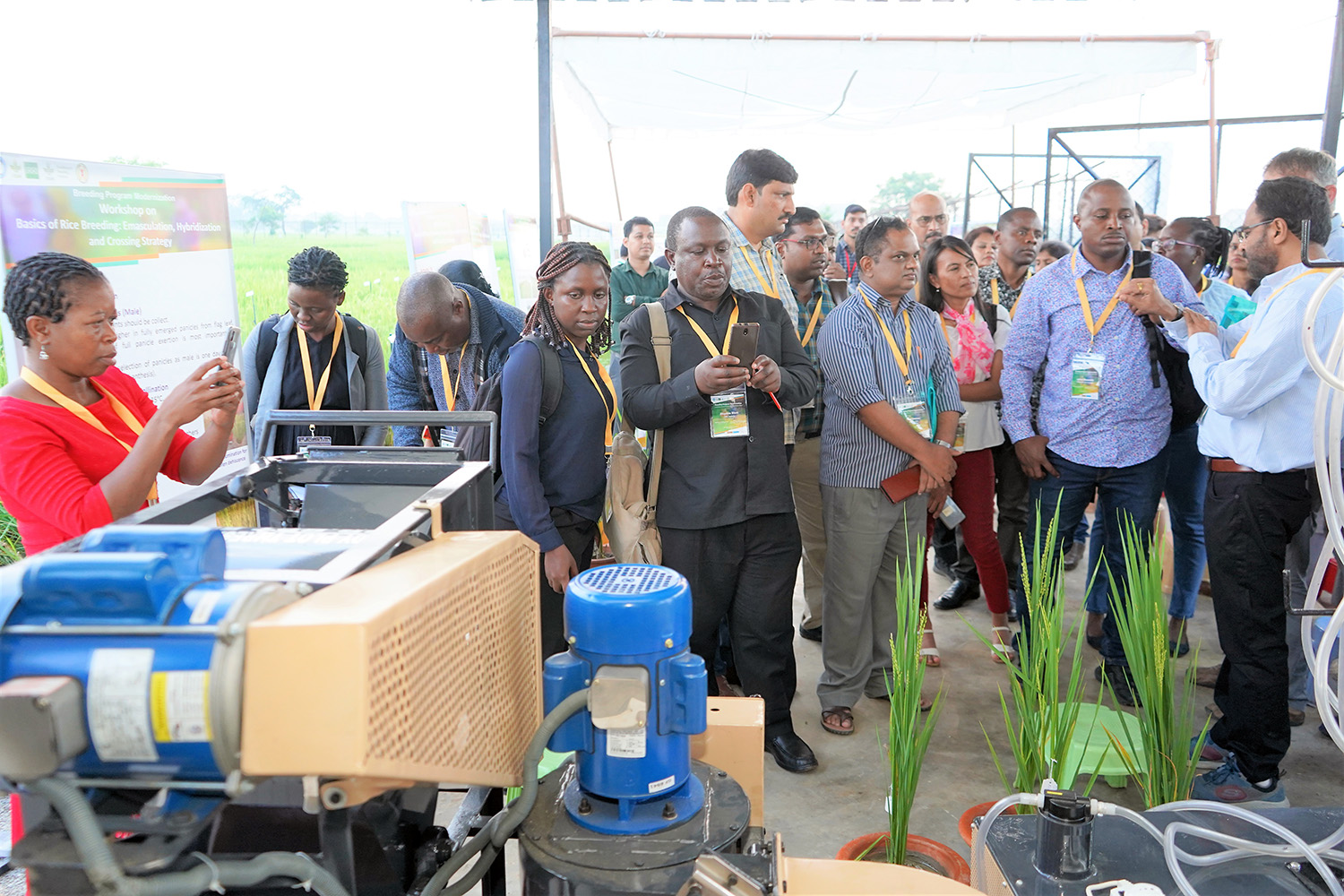 NARES-CGIAR Global Networks adapt Breeding Program Modernization in Asia and Sub-Saharan A...