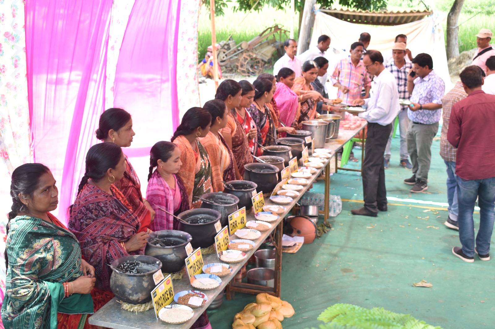 IRRI initiates participatory research on cooking quality test for new varieties