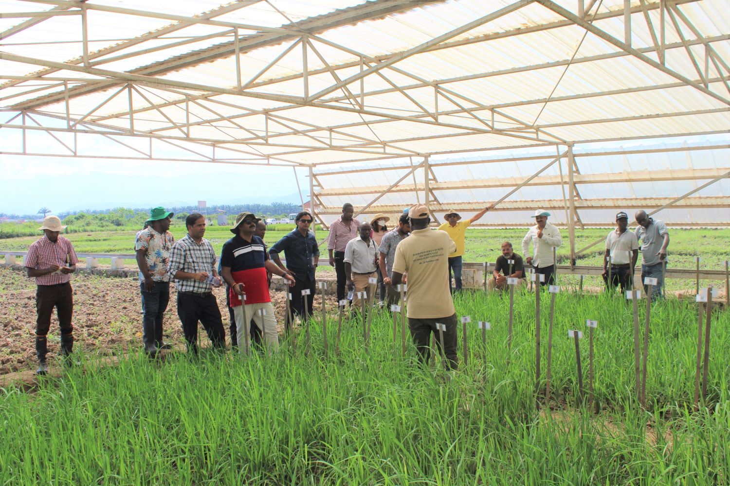 IRRI-Africa crop tour strengthens collaborative efforts for agricultural innovation in Bur...