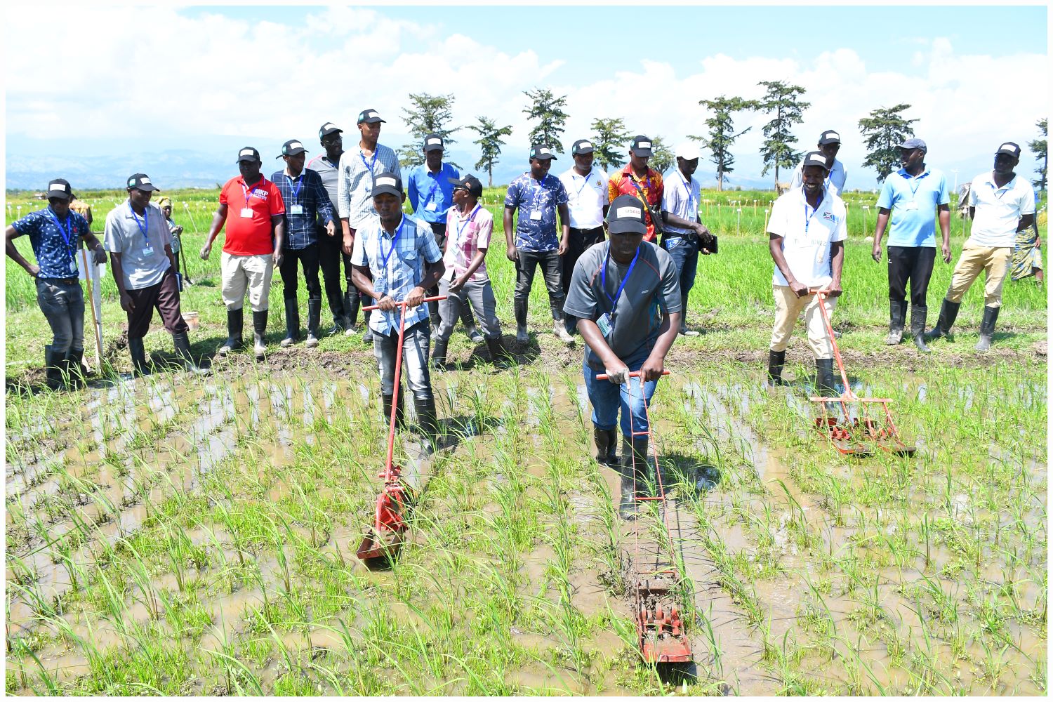 Capacity-building workshops in East Africa help strengthen partnerships and create new one...