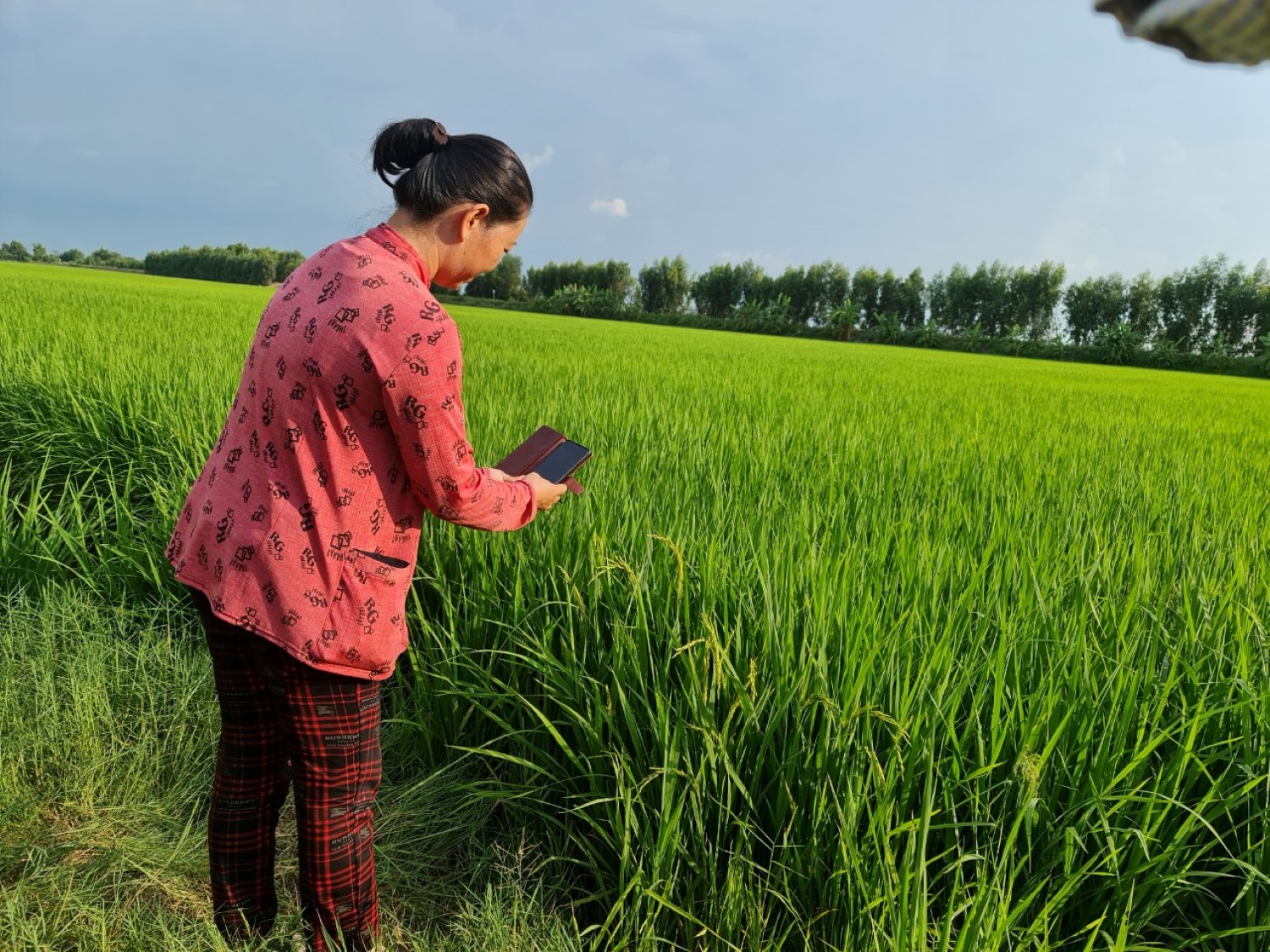 TRANSITIONS: Inclusive digital tools to scale smallholder agroecology