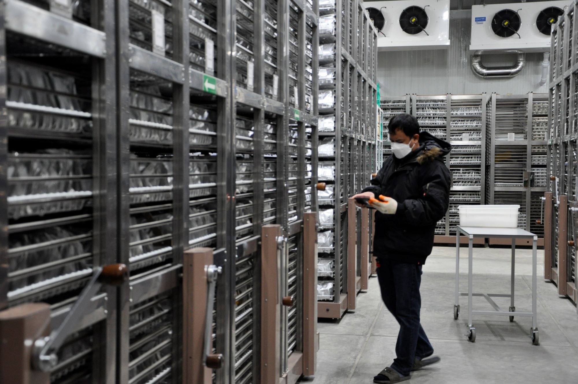 IRRI receives Google support to apply AI for climate resilient rice development