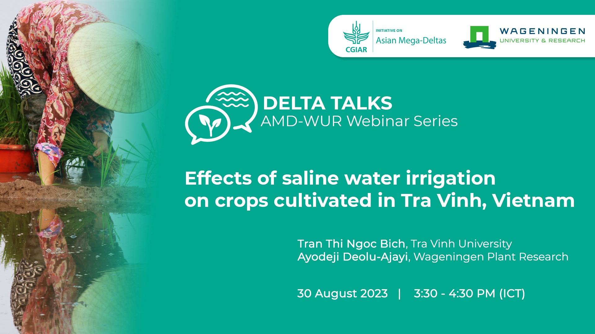 Exploring the potential of saline water irrigation as a climate change adaptation measure