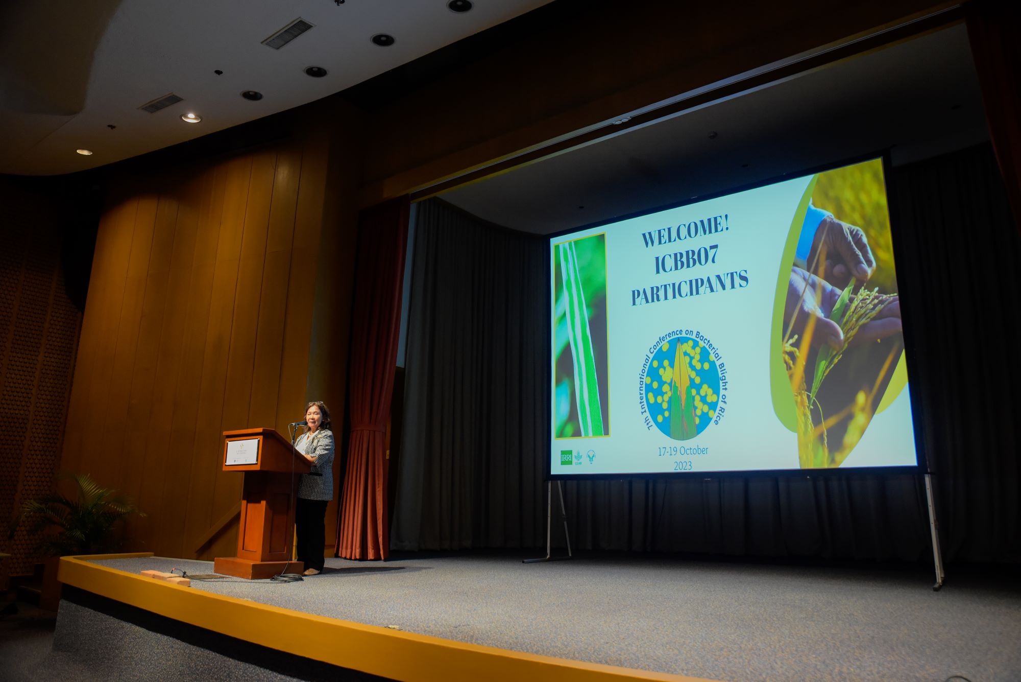 World experts convene to improve bacterial blight management and increase farmers’ yields