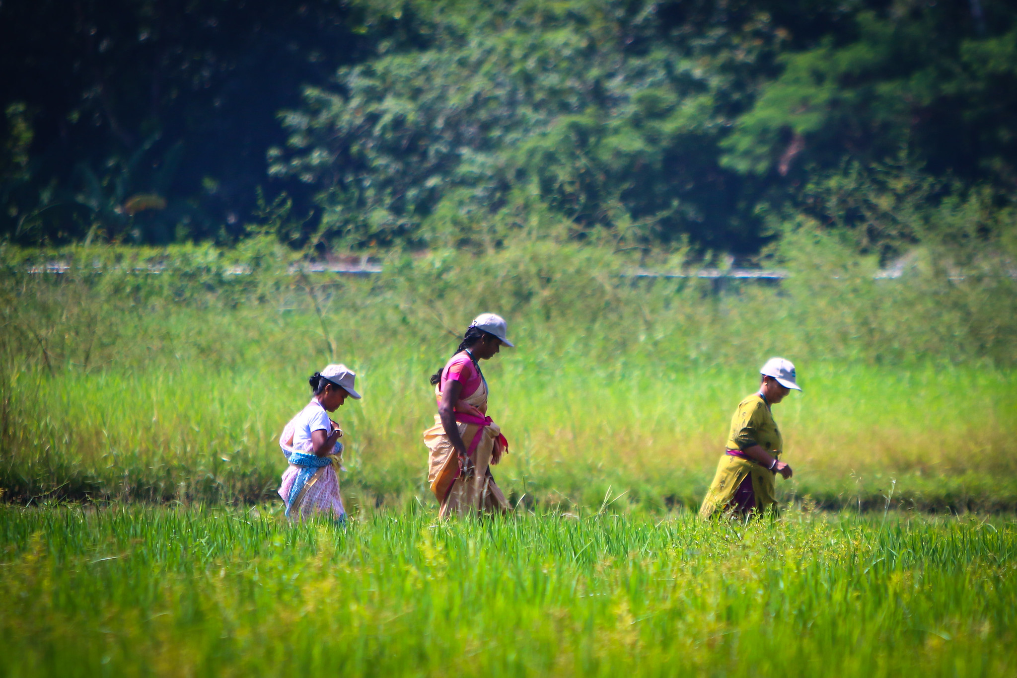 HER+ Stakeholder workshop paves the way for piloting Learning Labs in India