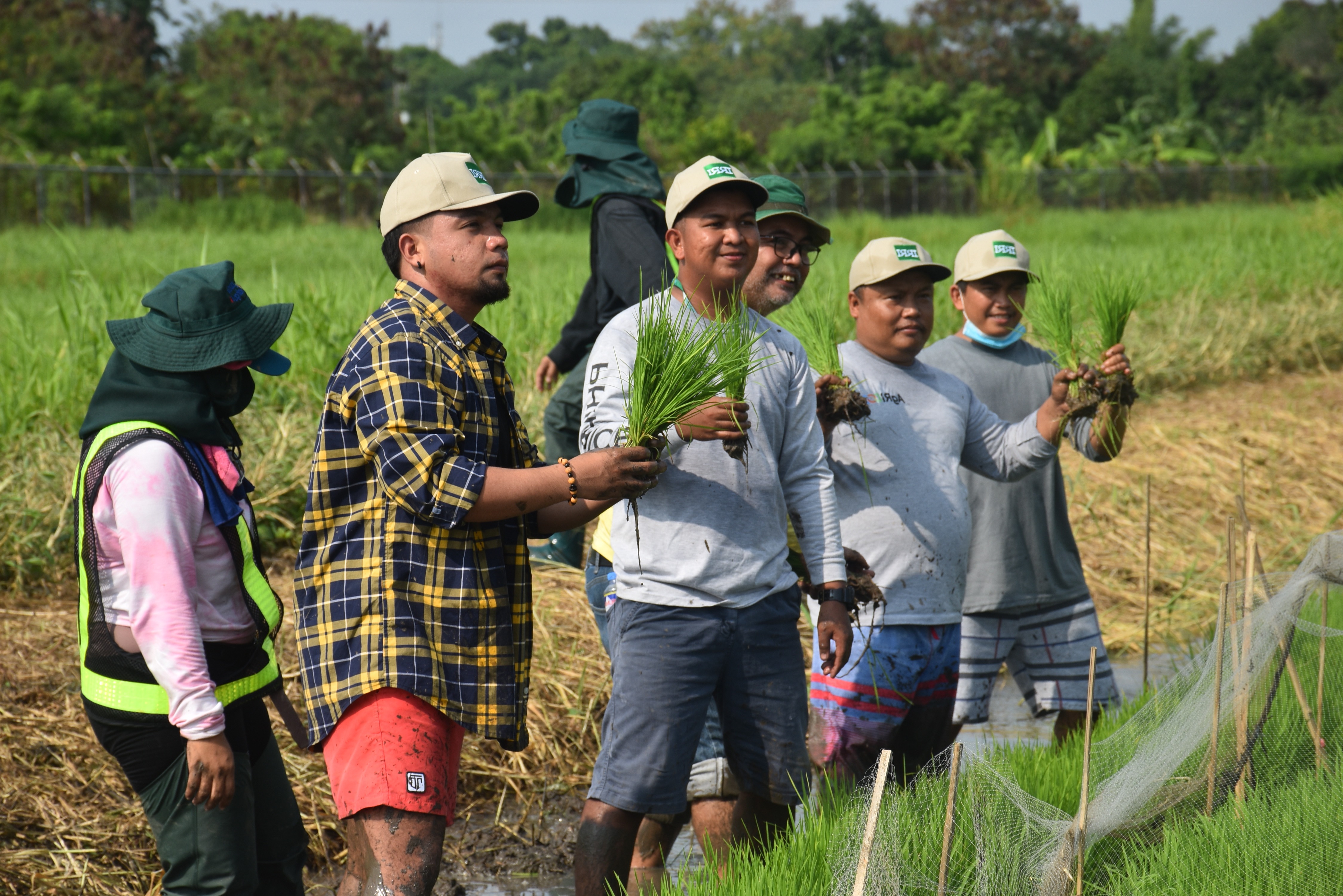 Learning continuity ensured: IRRI turns over the online Rice: Research to Production course to DA