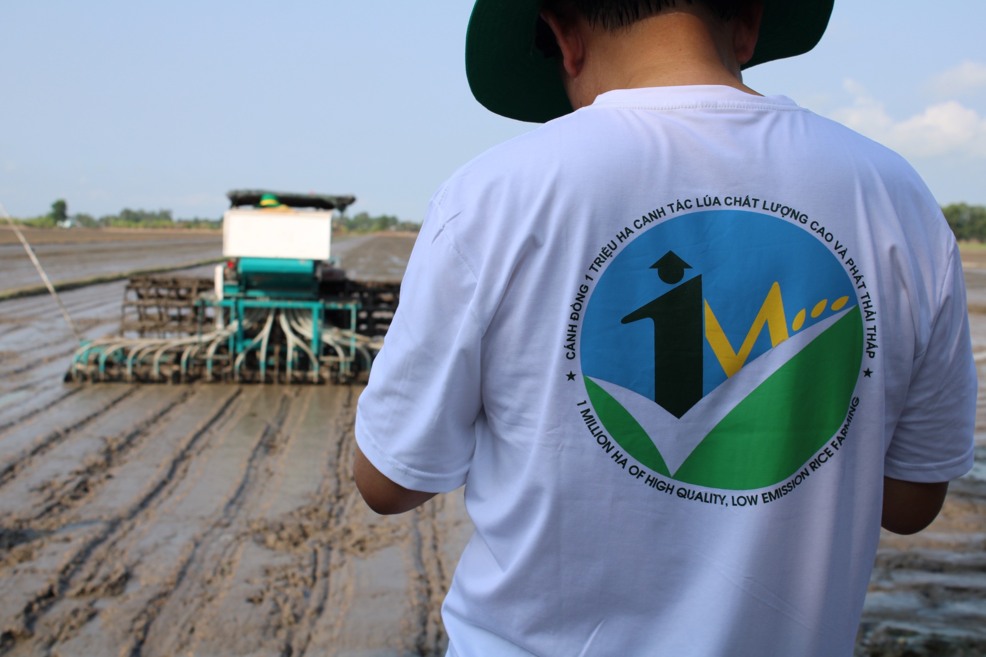 MARD, Can Tho City, and IRRI launch model farms for sustainable rice production