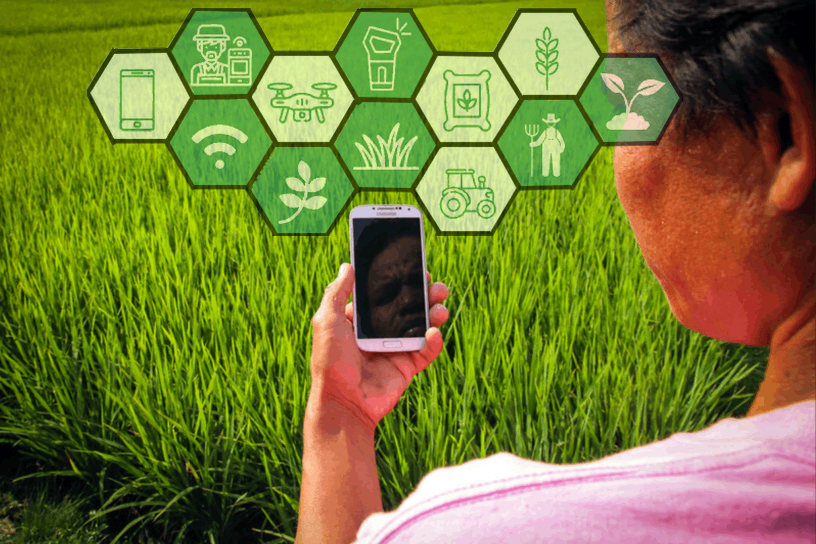 DA-BAR and IRRI launch online platform for PH digital ag tools