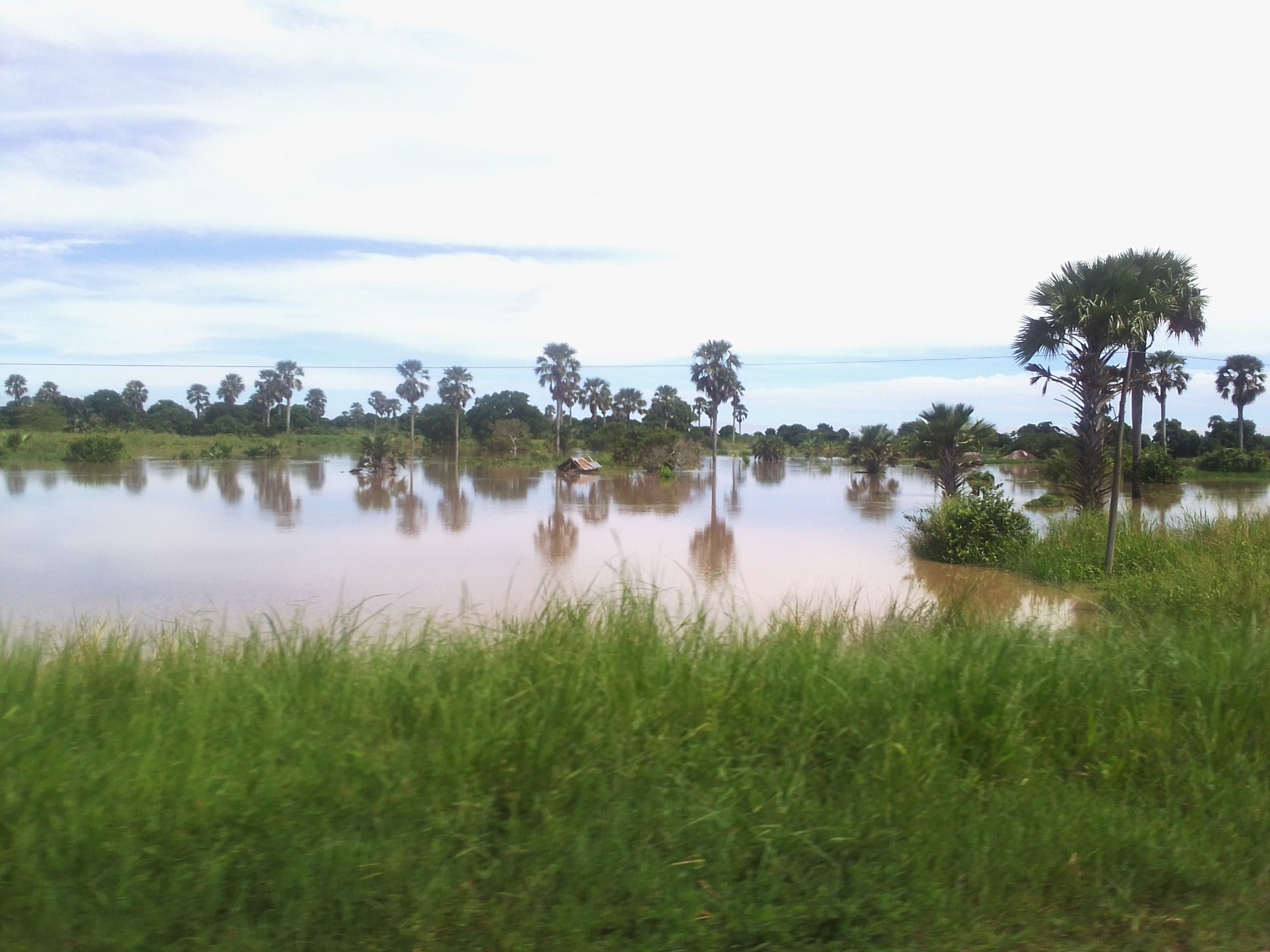 Climate-smart mapping can help Tanzanian rice farmers in flood-prone areas mitigate crop l...