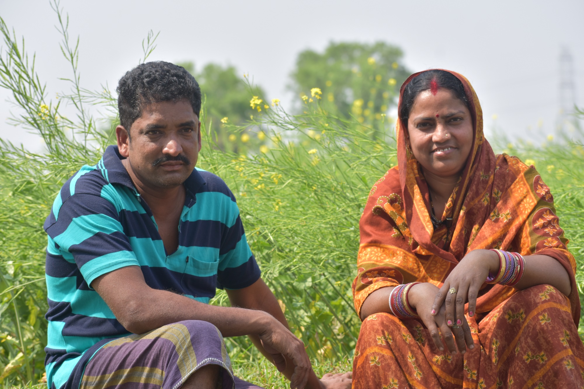 Scaling  rice-mustard system in Odisha’s rice fallows for better system productivity and economic gains