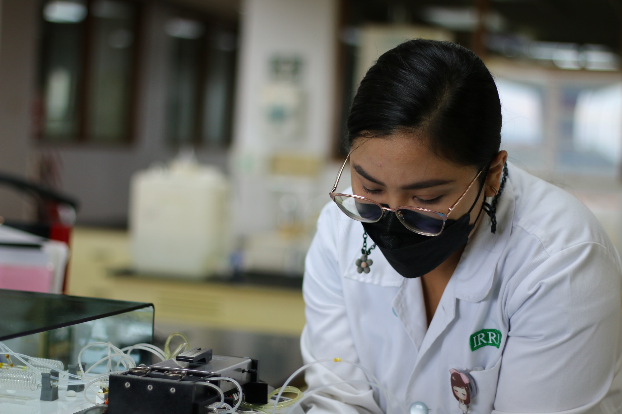 Breeding gains from fostering a culture of continuous improvement  