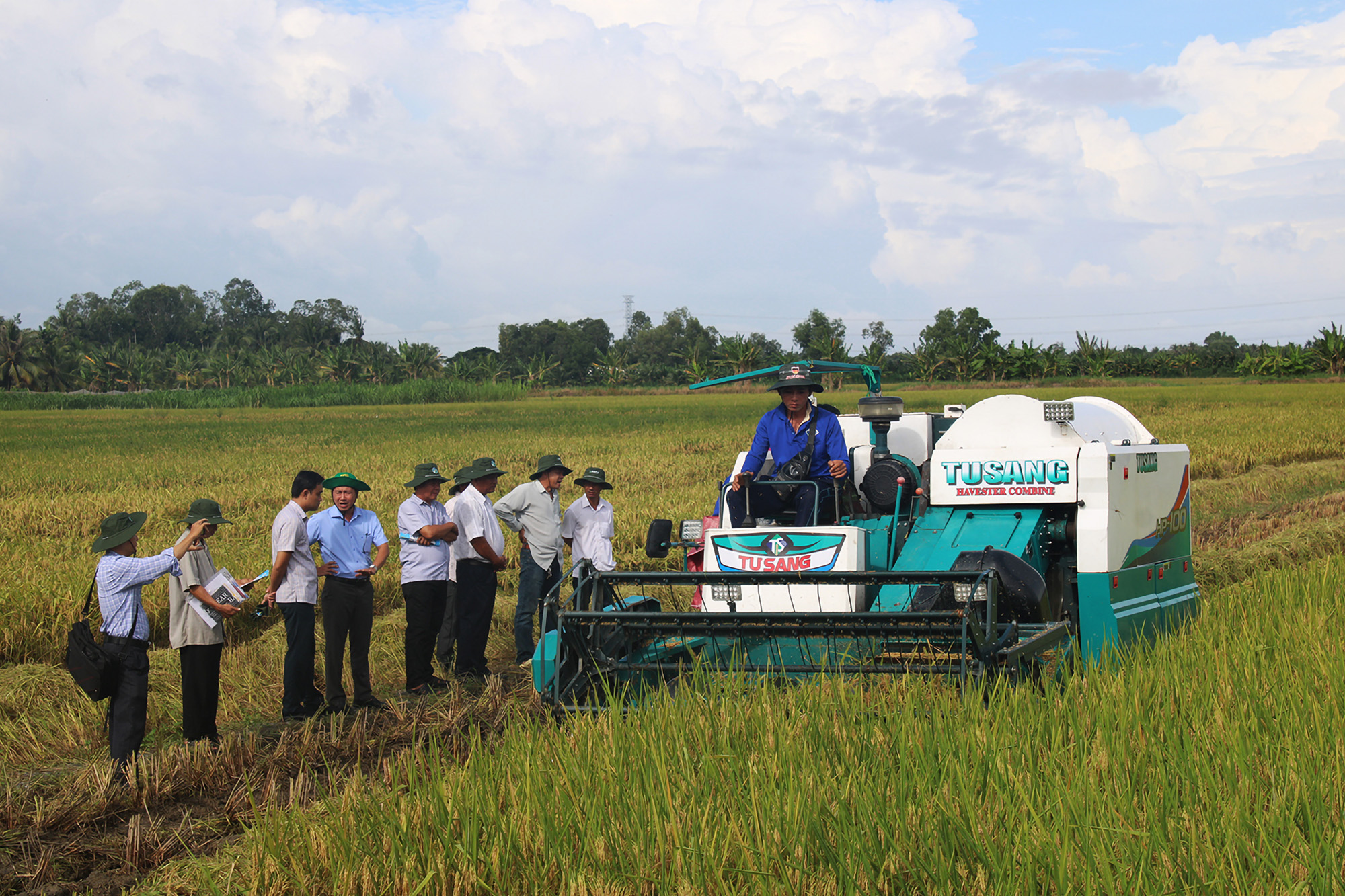 Vietnam’s 1-Million Hectare Rice Program shows promising results