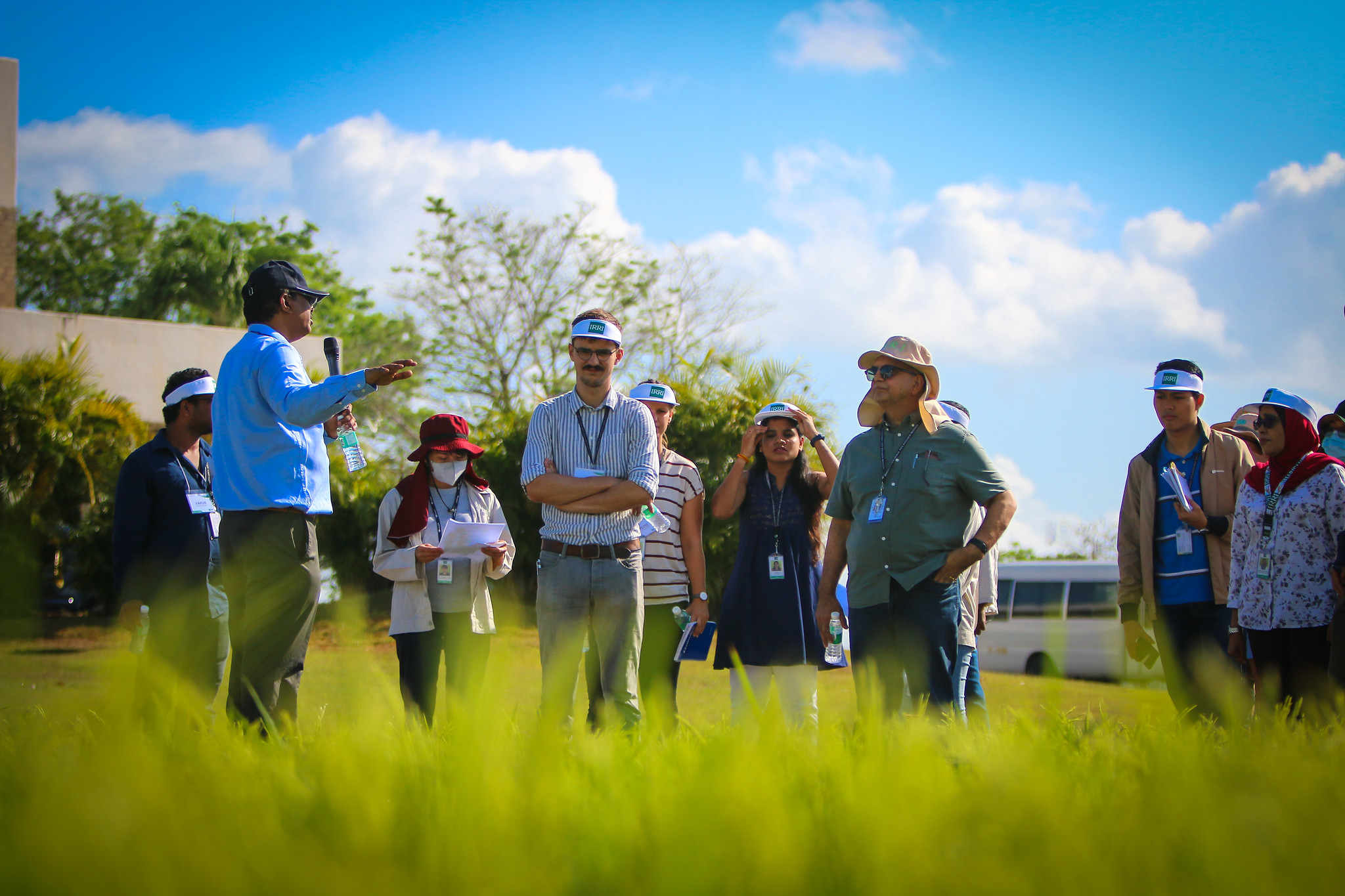 Rice phytobiome engineering could lead to greater food security, says IRRI and UC Davis scientists