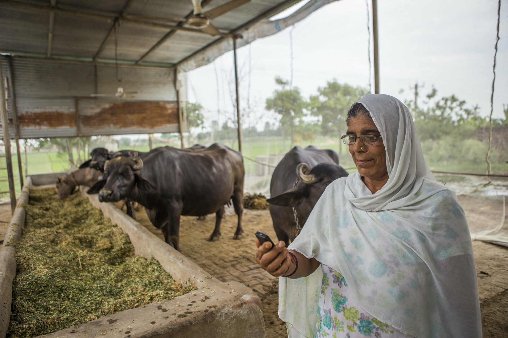 How ICTs are shaping sustainable and modern farming systems in India