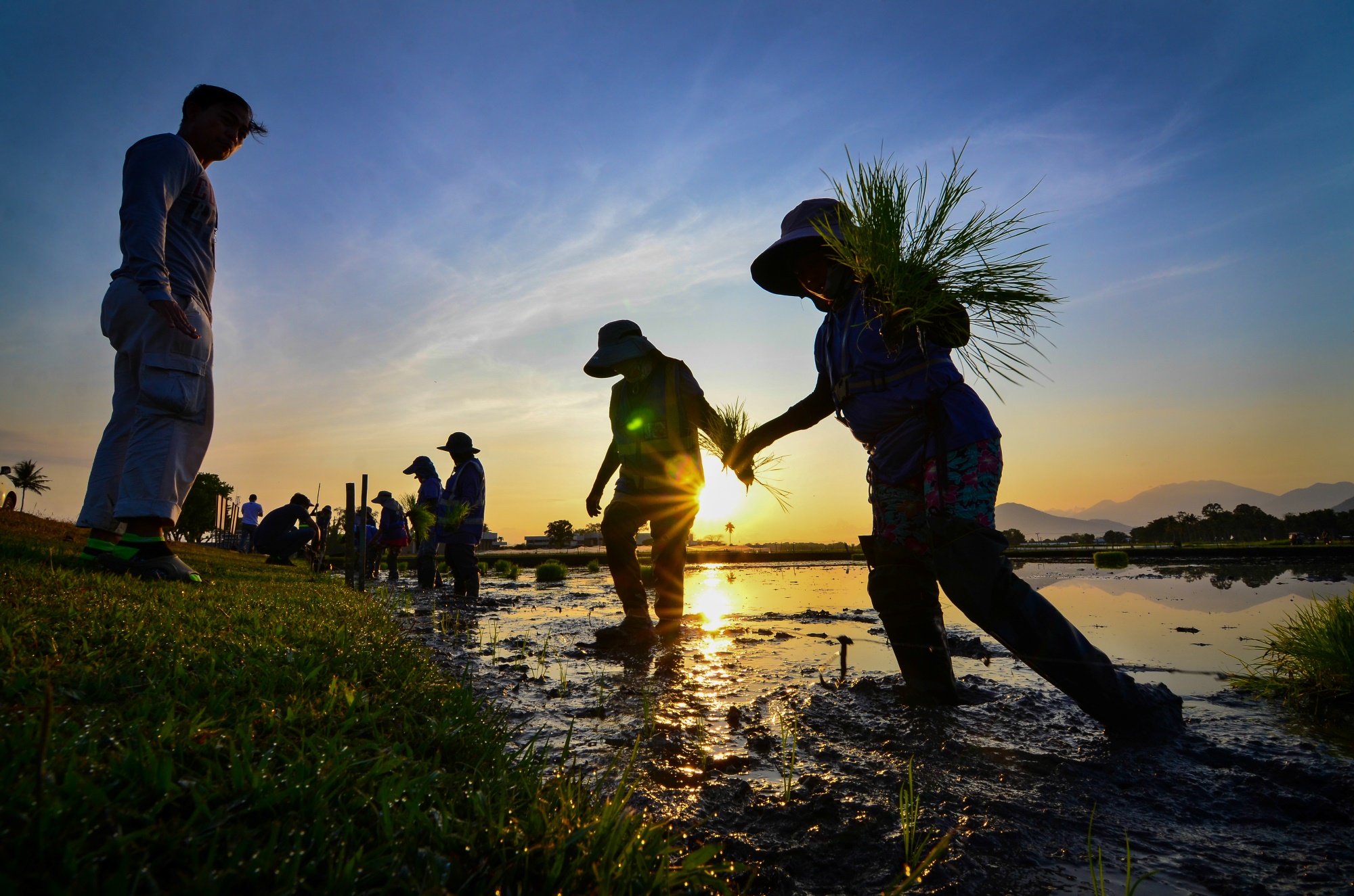 ClimBeR: Defining strategies to increase Filipino farmers’ climate resilience