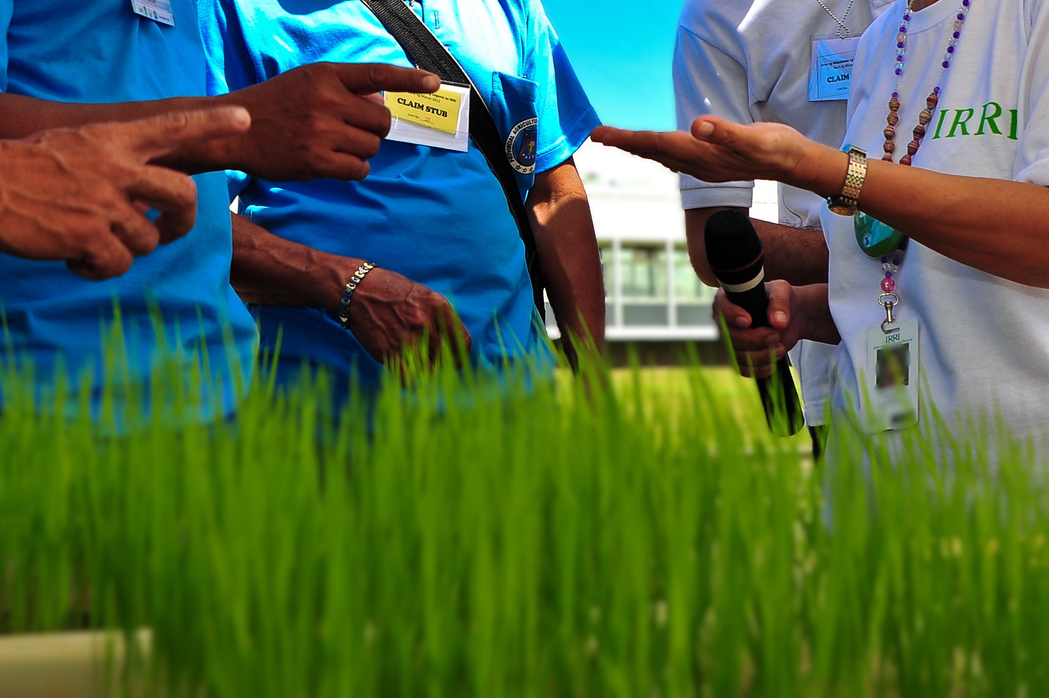 New framework on agricultural knowledge management for innovation recognized with Cook Medal