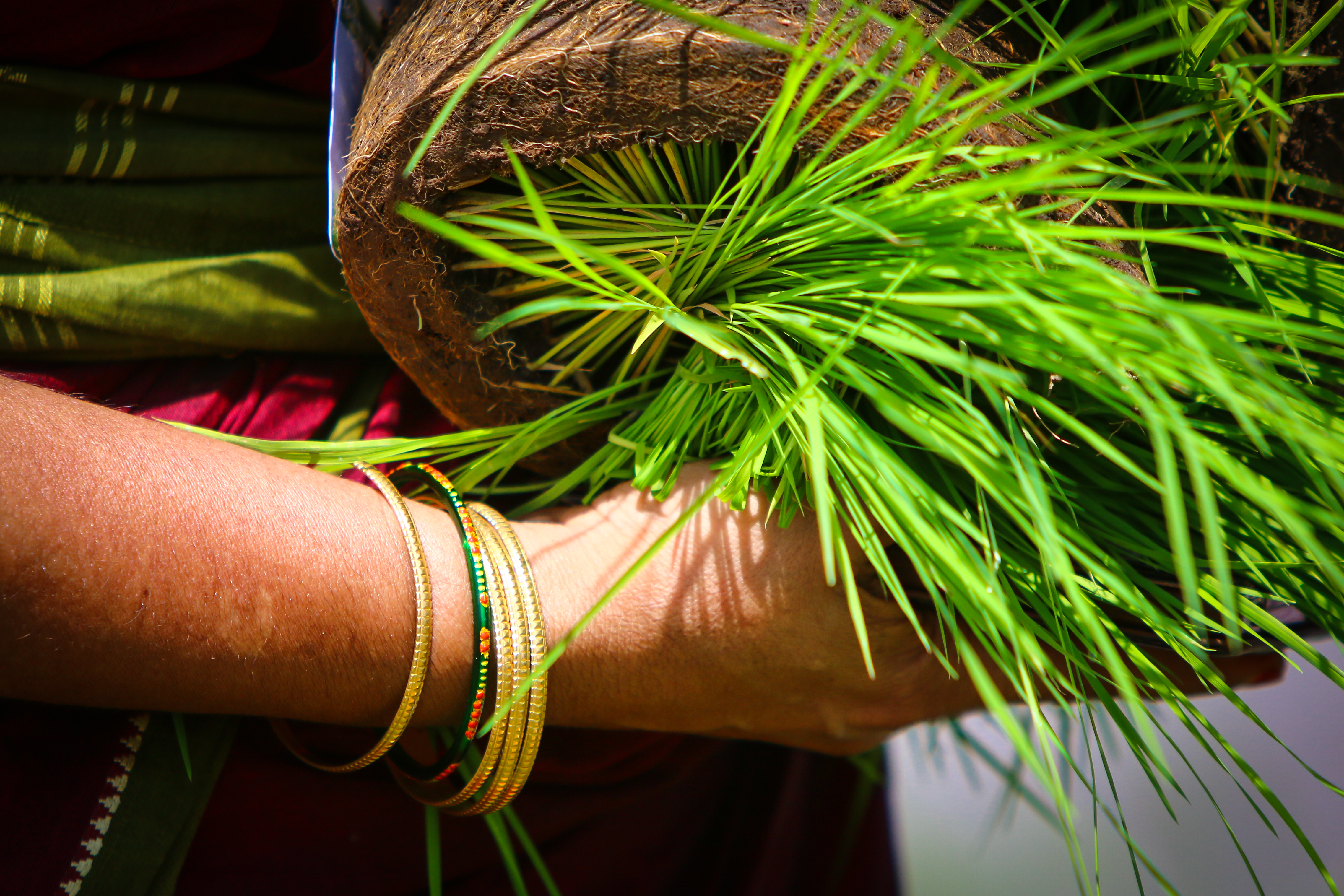 Women find identity, path of progress, as farmers