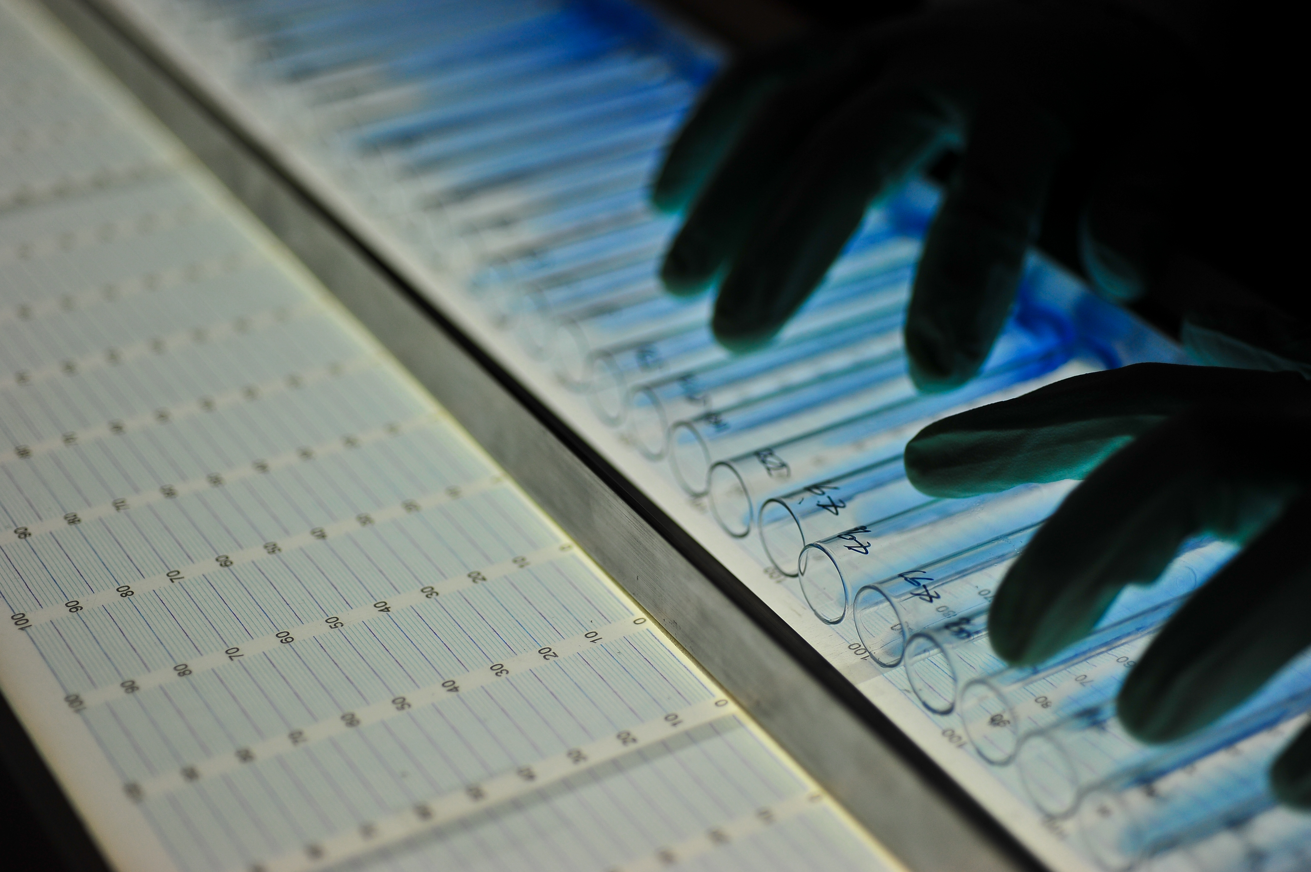 IRRI collaborates with Computomics to develop new and better rice varieties through machin...