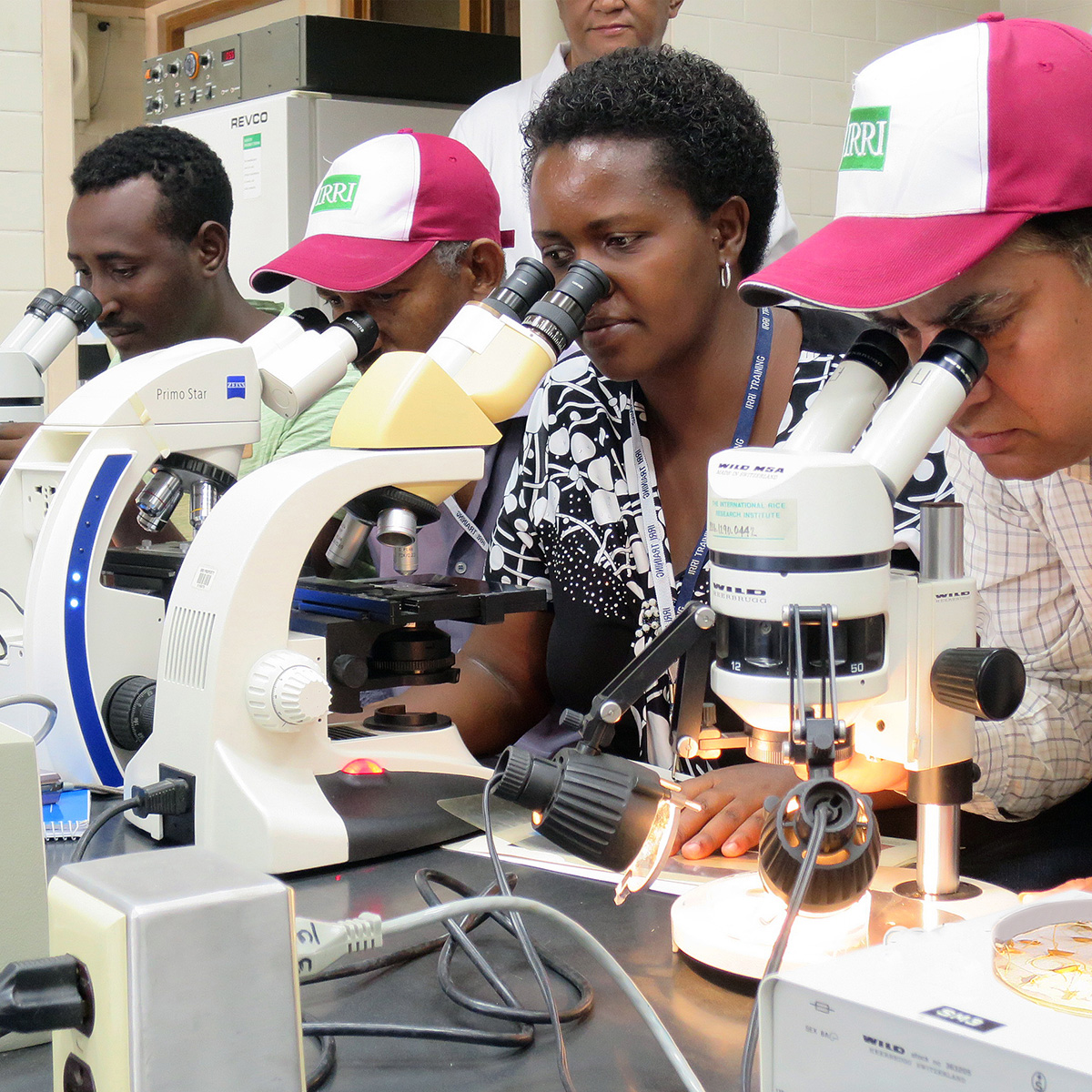 IRRI and Mozambique to intensify collaborations for Southern Africa