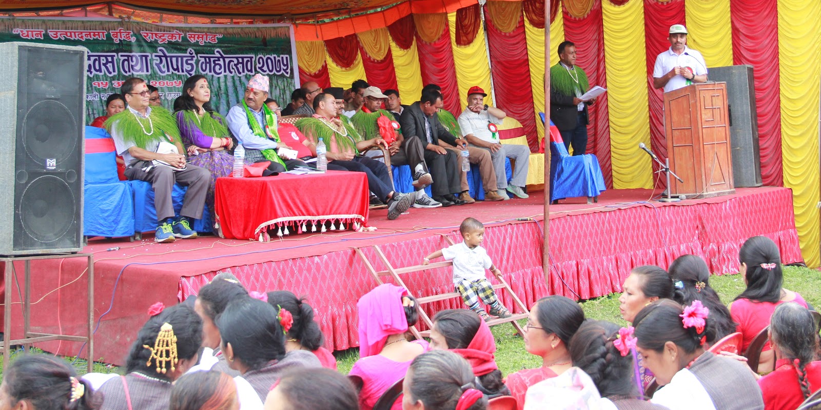 Nepal, IRRI strengthens collaboration to achieve self-sufficiency and reduce rice importation at 15th National Rice Day