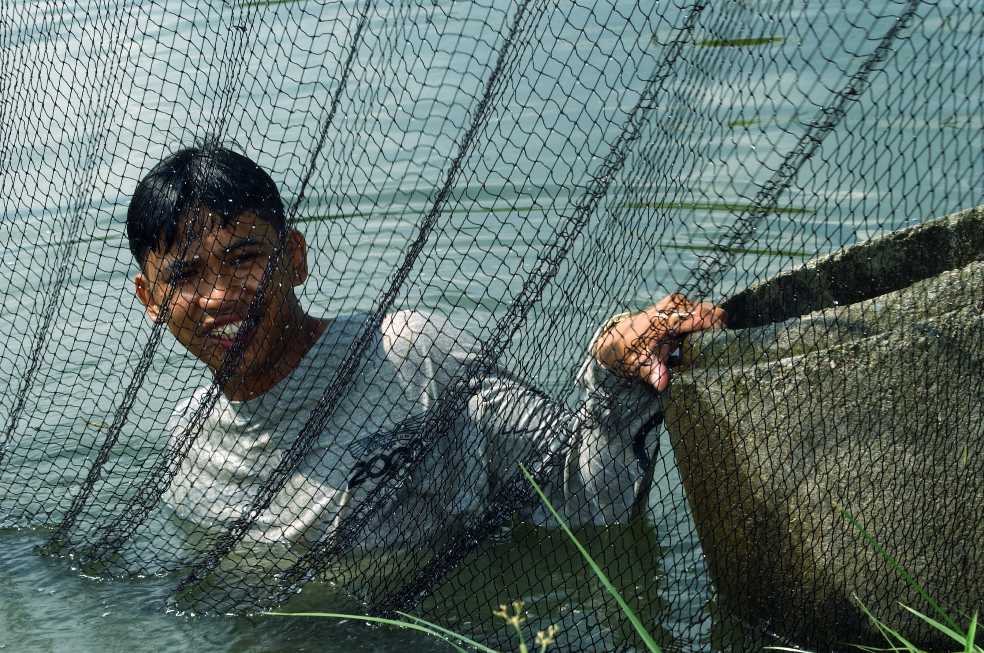 Australian-funded projects are helping Myanmar rice farmers improve their livelihood and income