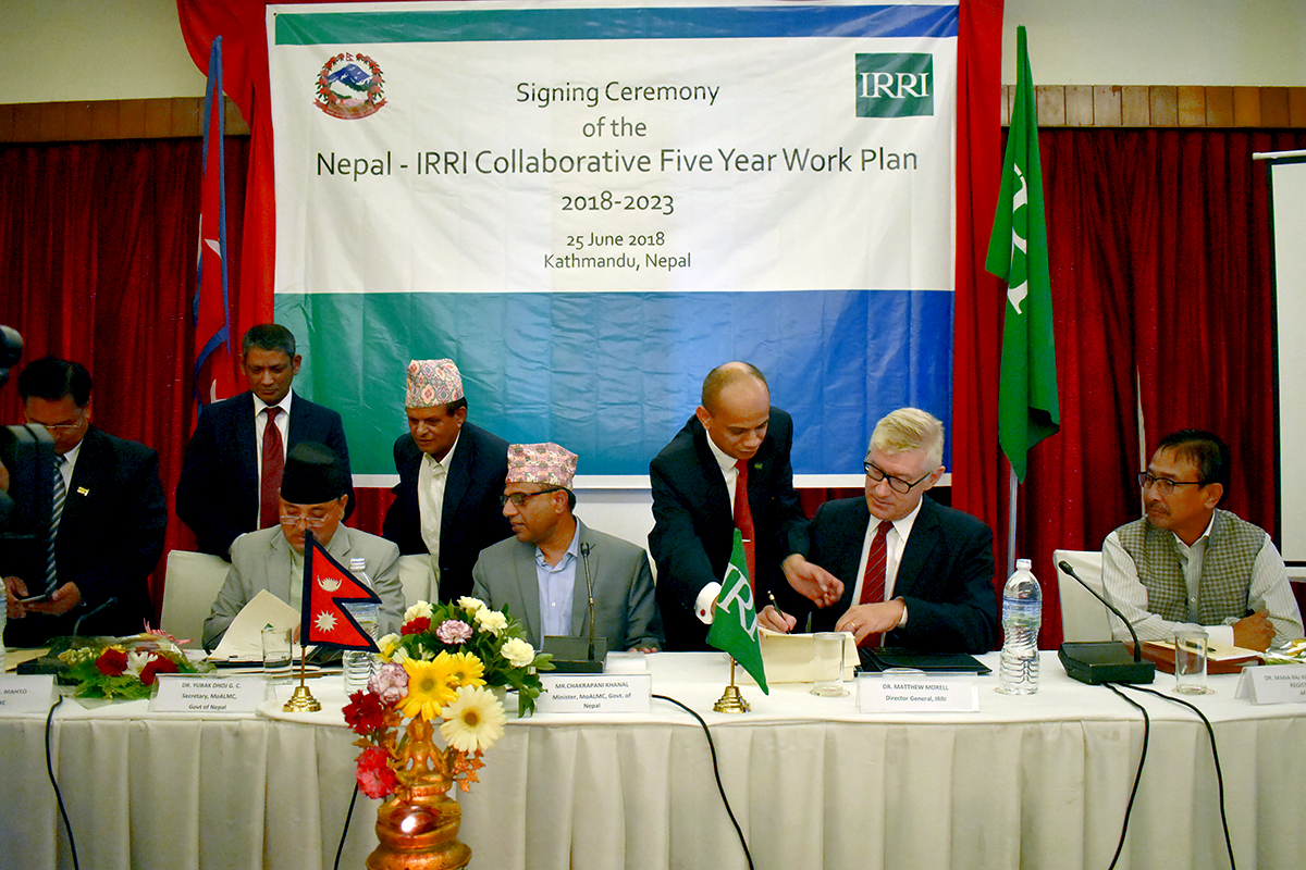 Nepal and IRRI sign work plan to reinvigorate efforts towards rice self-sufficiency