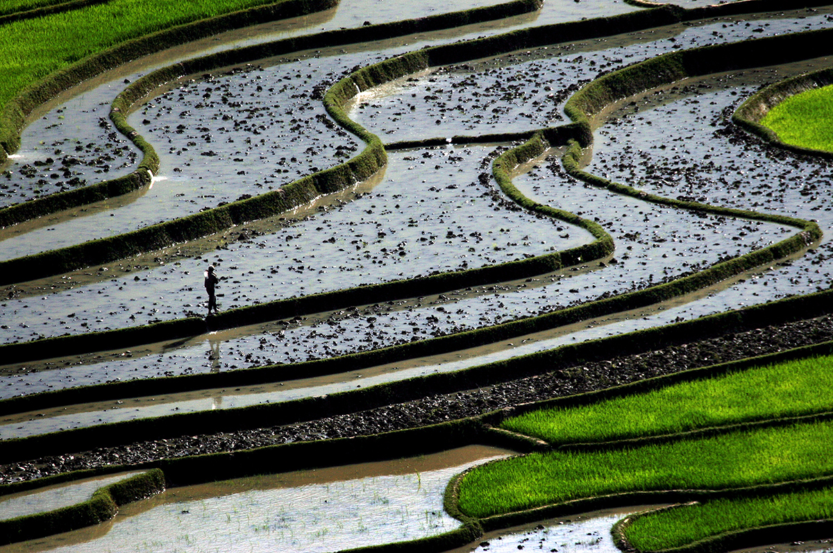 Study explores measures to reduce Vietnam's emissions