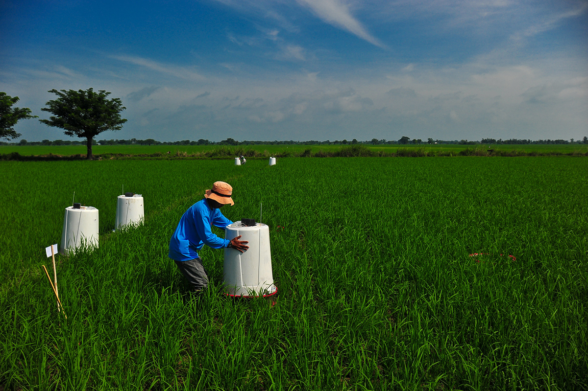 Inequality, Agriculture and Climate Change: From a Vicious to a Virtuous Circle