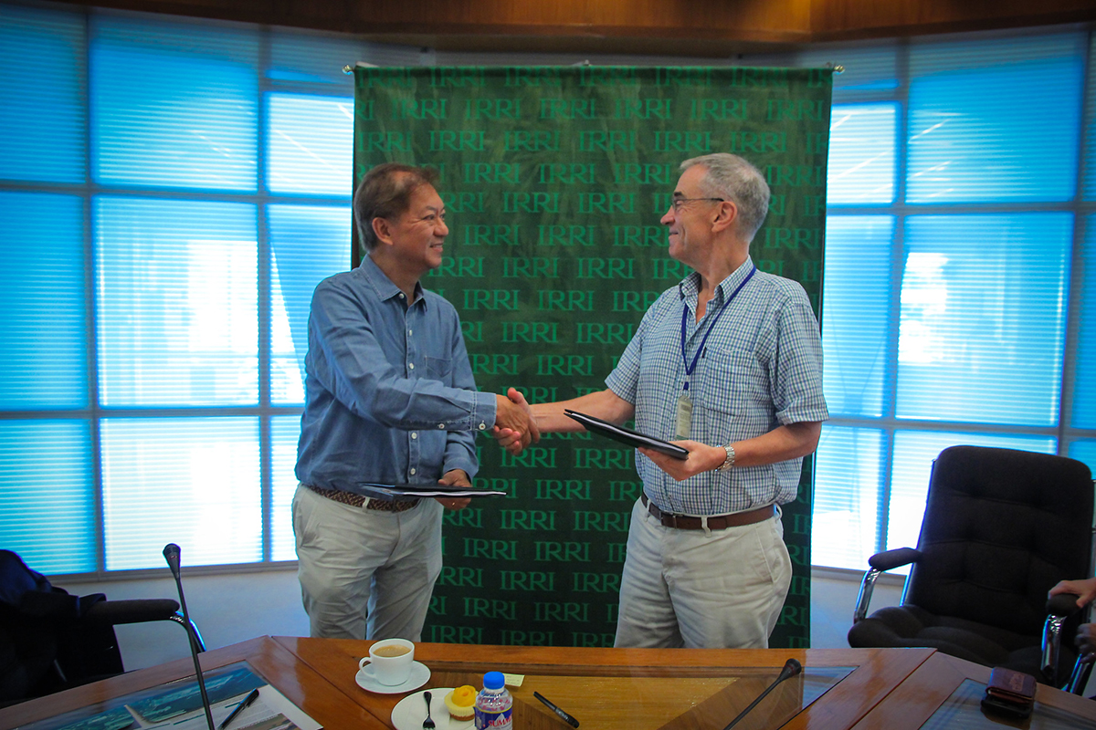 IRRI, Tao Corporation sign pact for the commercialization and distribution of elite hybrid rice varieties across the Philippines