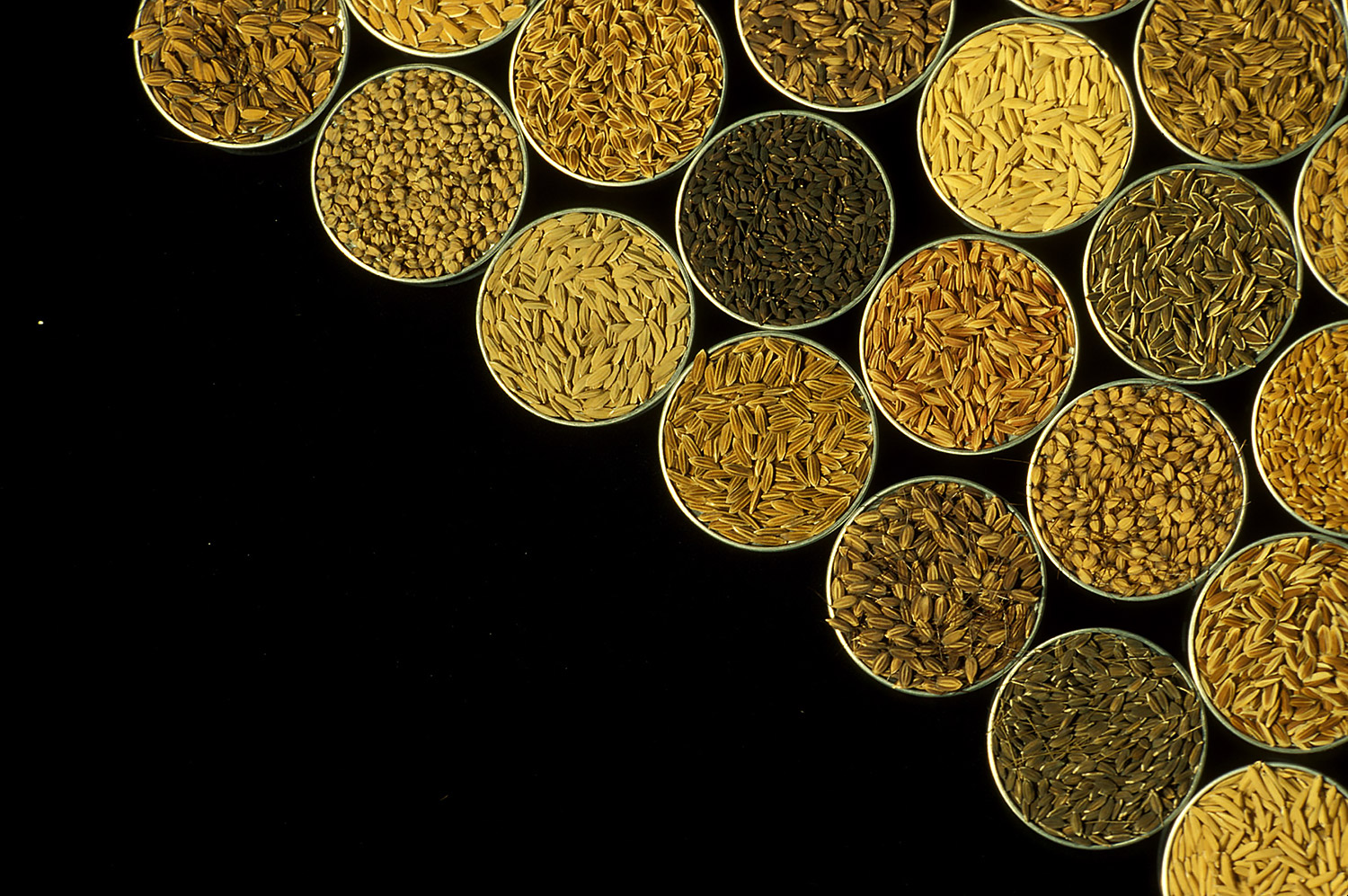 The cereals imperative of future food systems