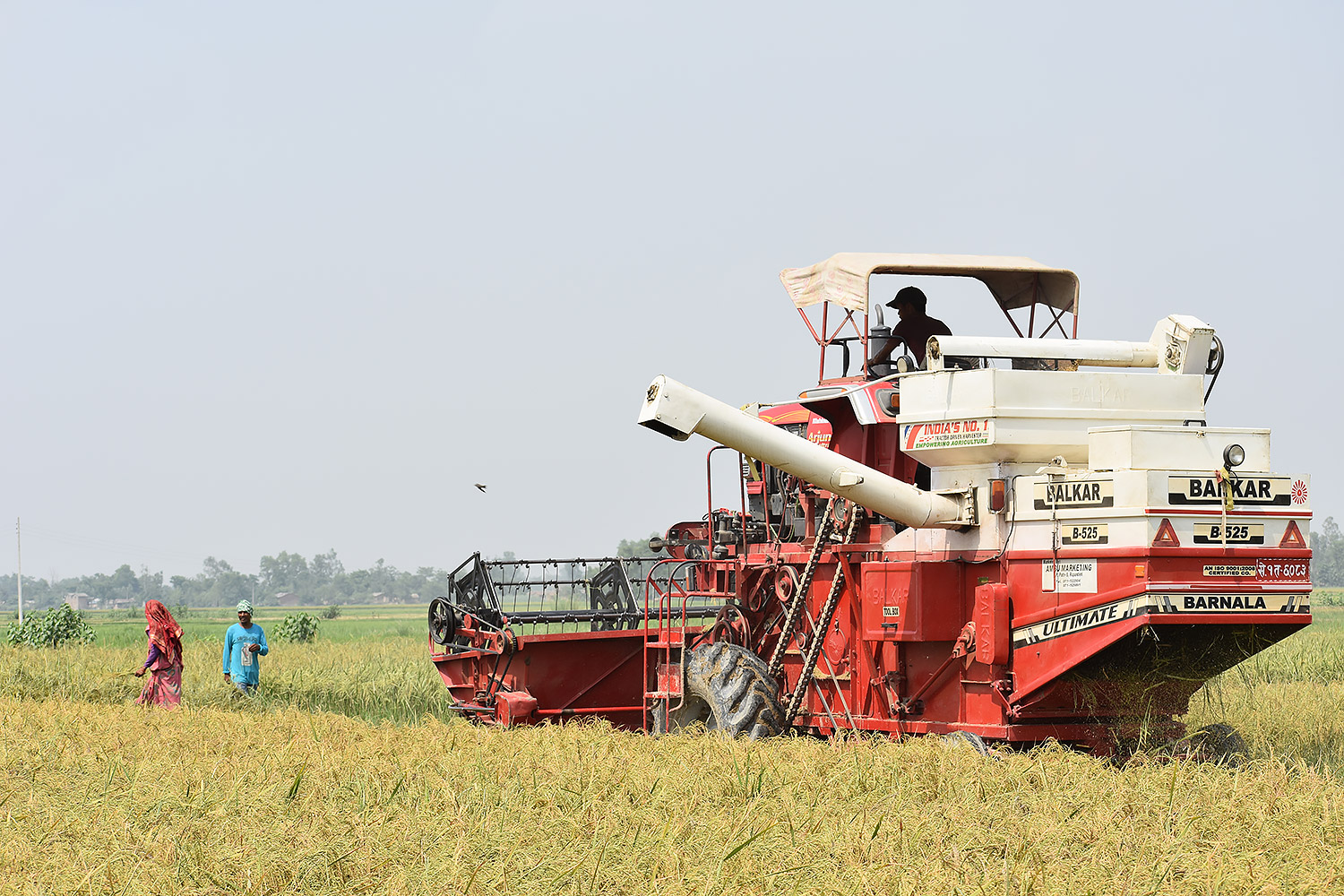 ADB-IRRI eye increased investments for sustainable agriculture technologies