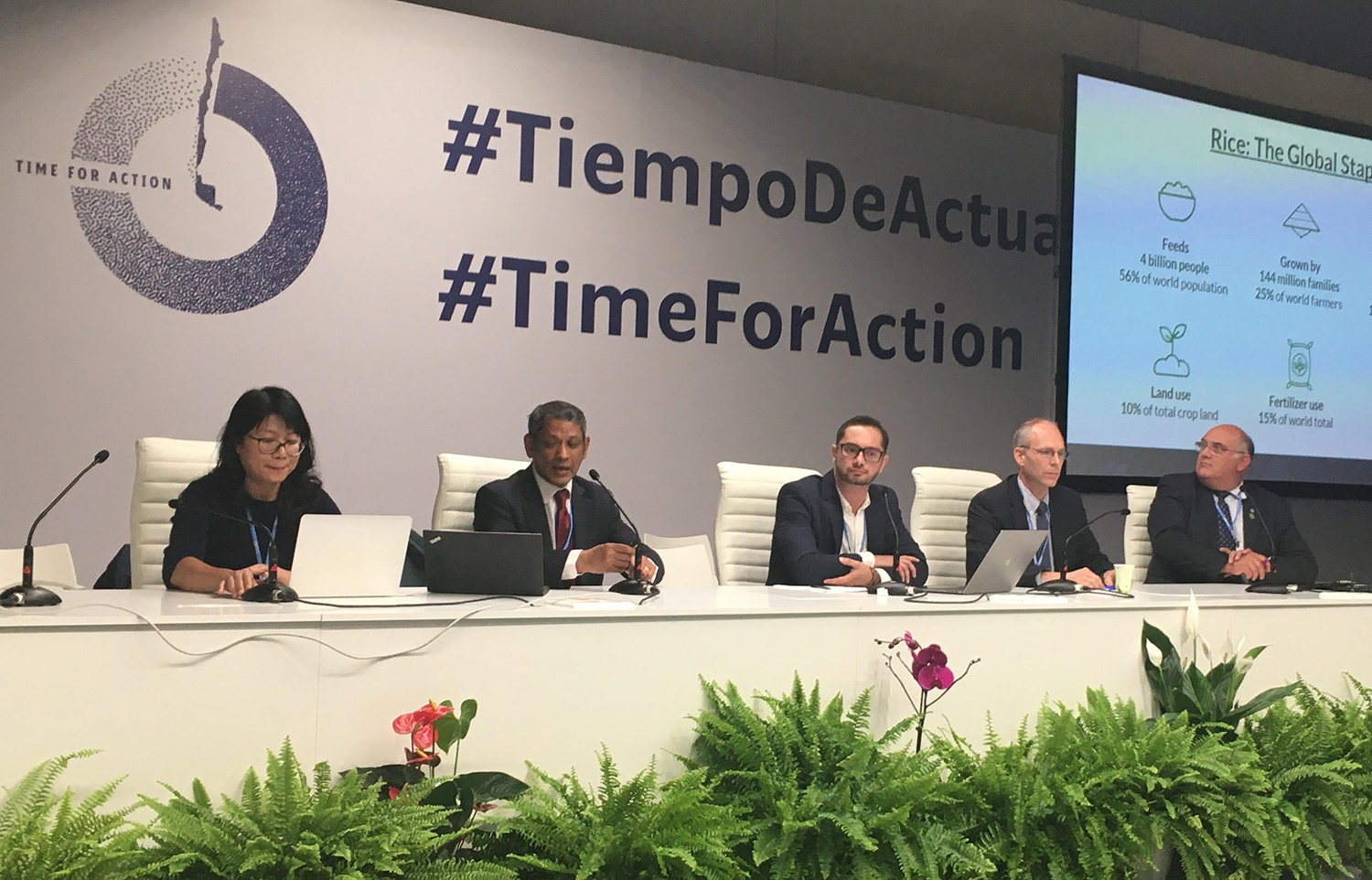 IRRI, IFA spark discussion on sustainable agriculture at COP25