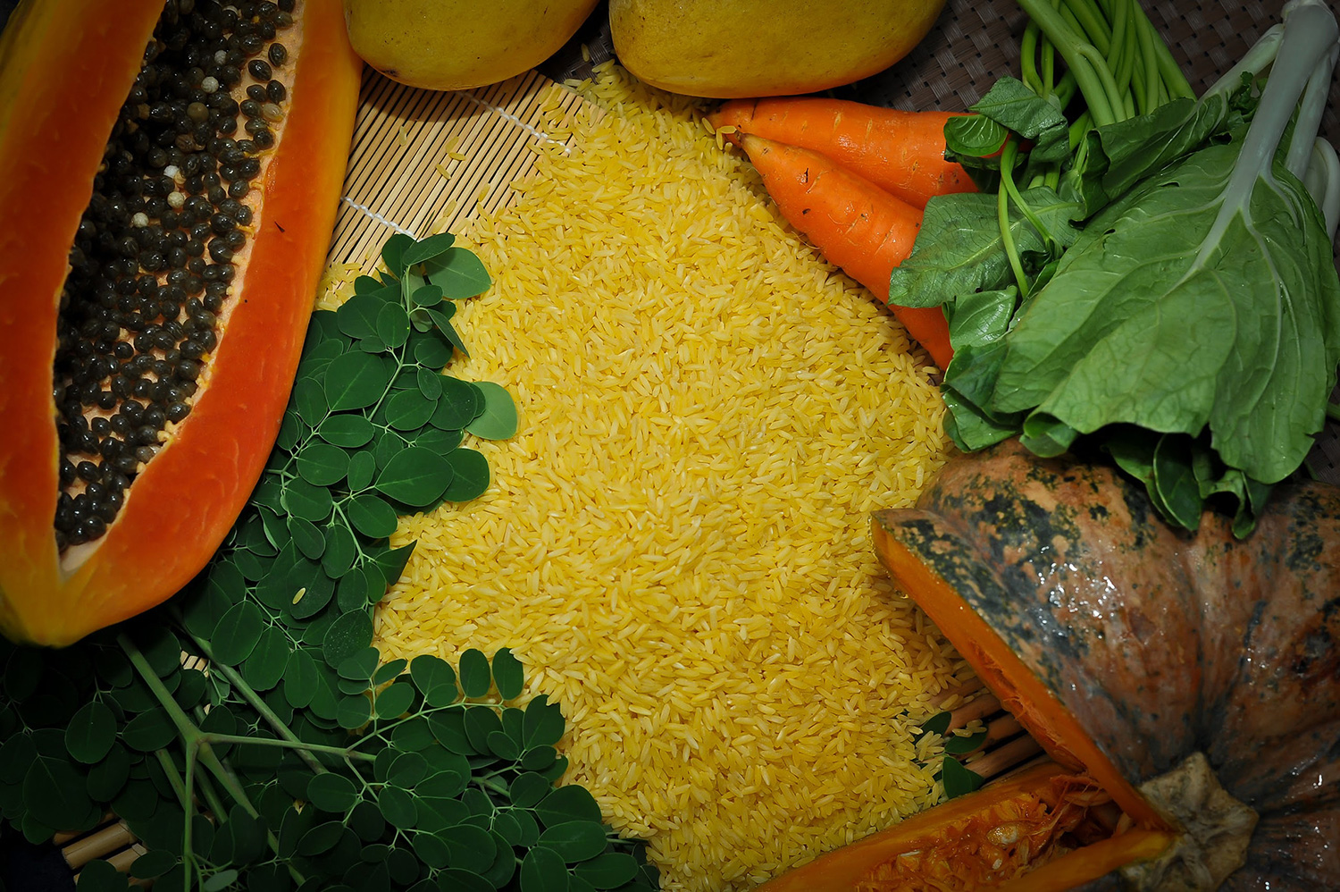 Philippines approves Golden Rice for direct use as food and feed, or for processing