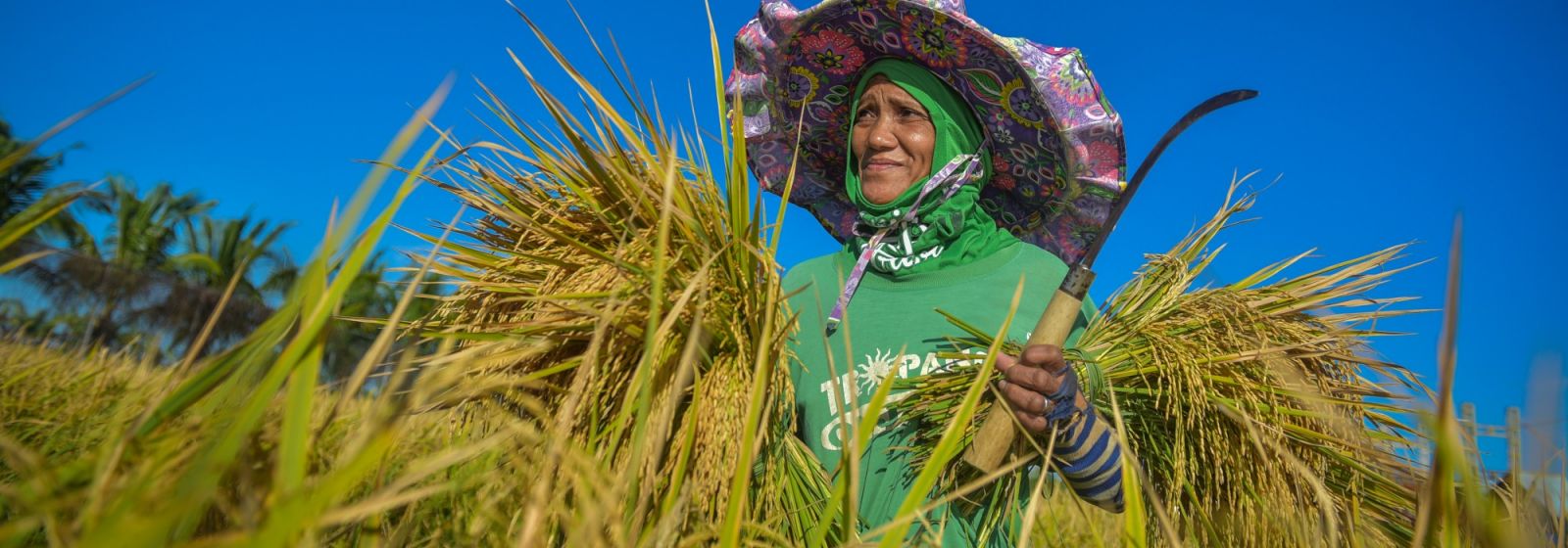 Philippines introduces innovative satellite-based crop insurance and agro-advisory service...